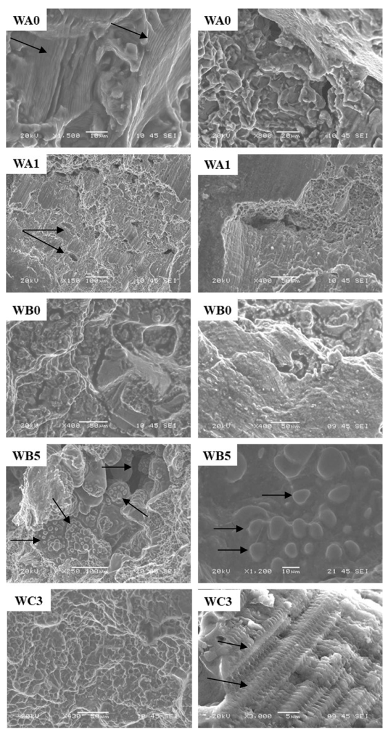 Applsci 10 03008 g012 Applsci 10 03008 g012