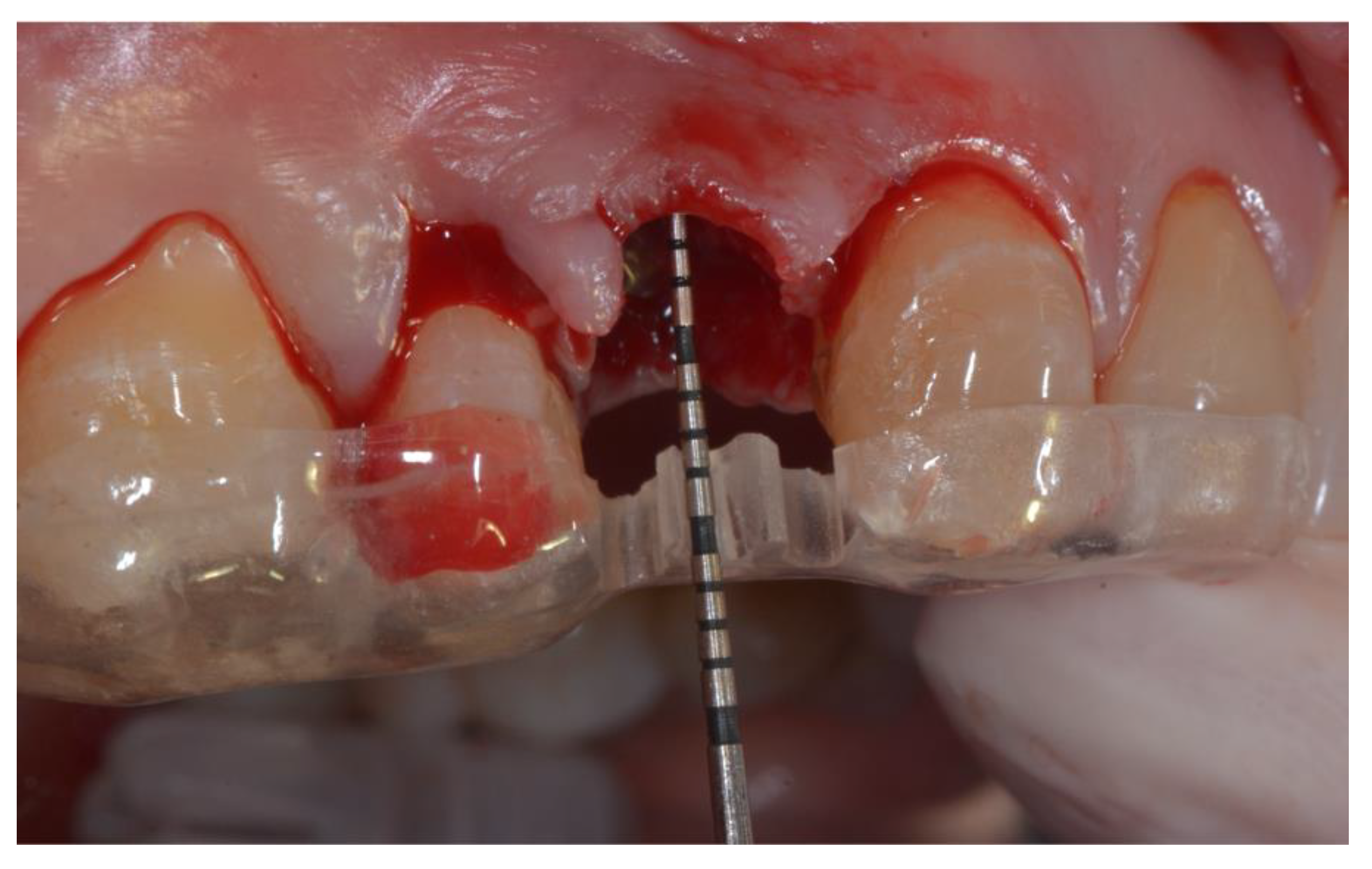 Applsci 10 03034 g001