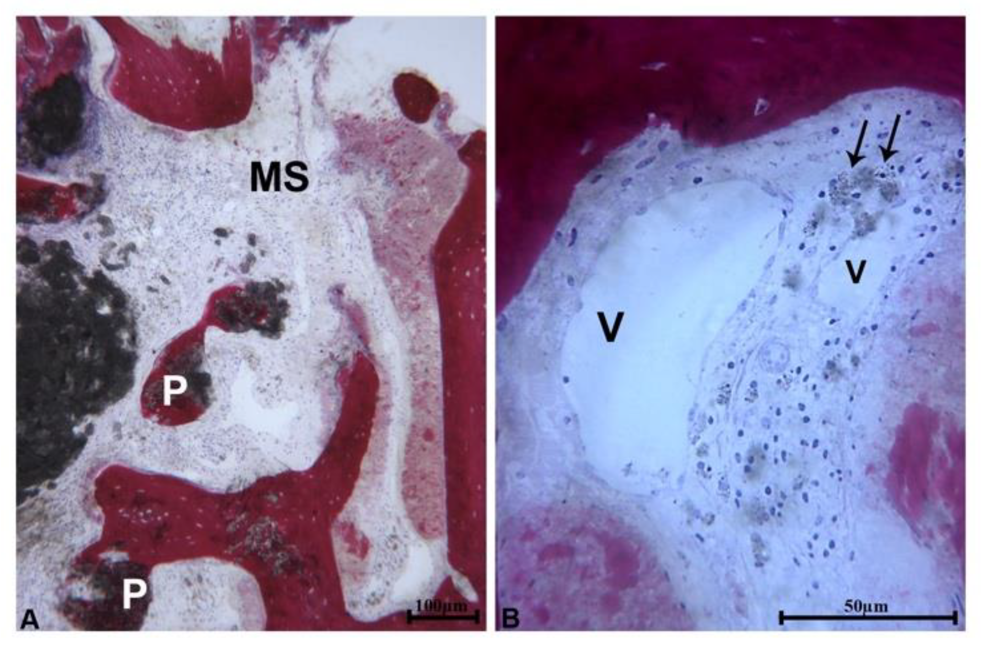 Applsci 10 03034 g003