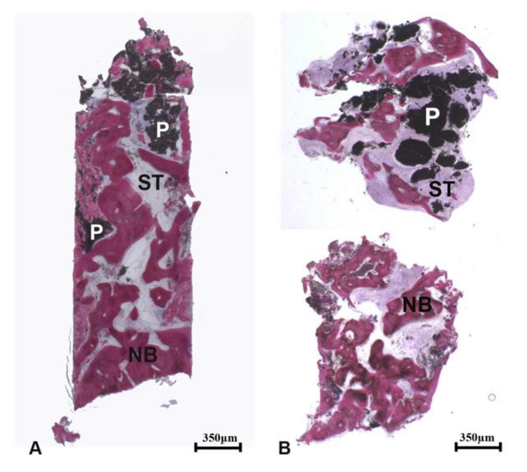 Applsci 10 03034 g004