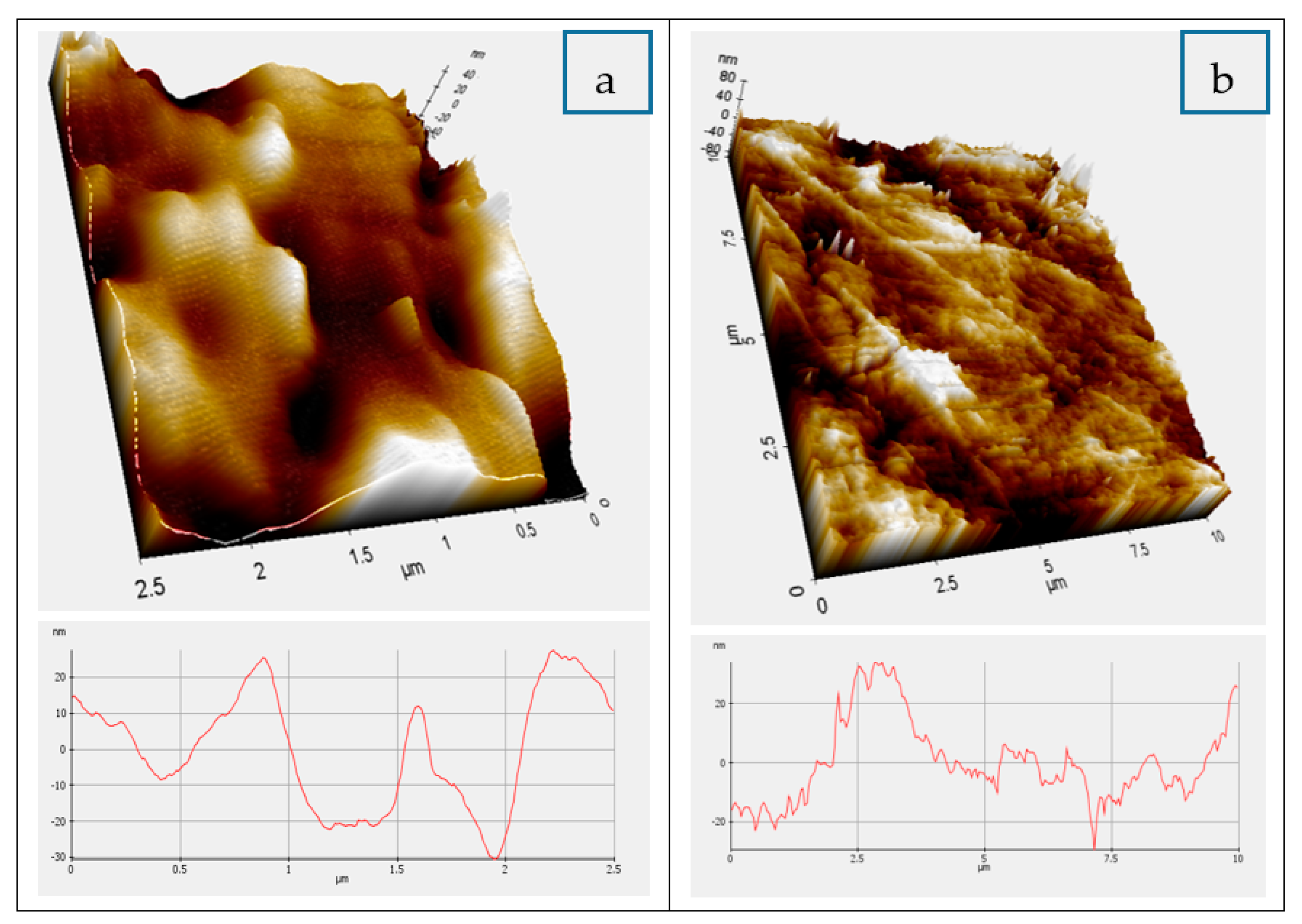 Applsci 10 03035 g002
