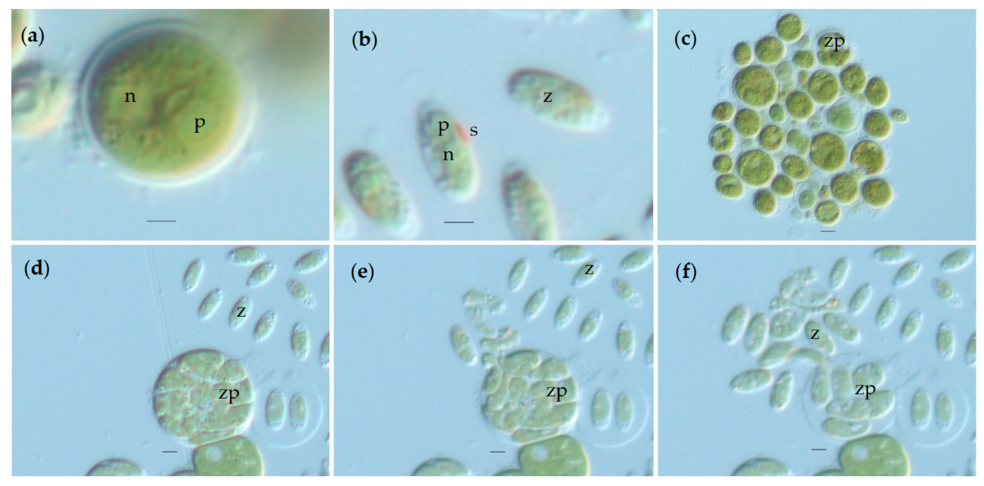 Applsci 10 03040 g002