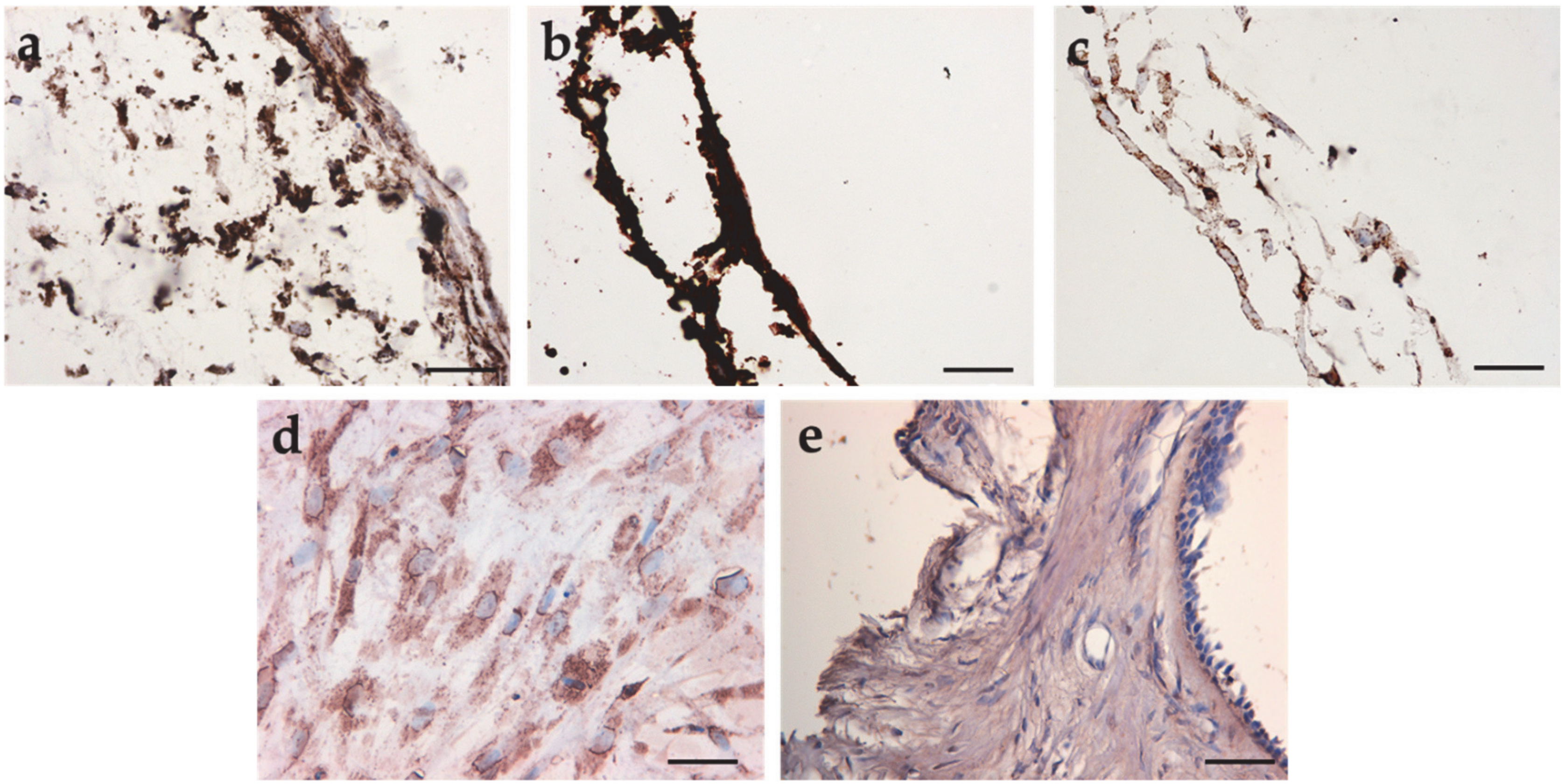 Applsci 10 03043 g004