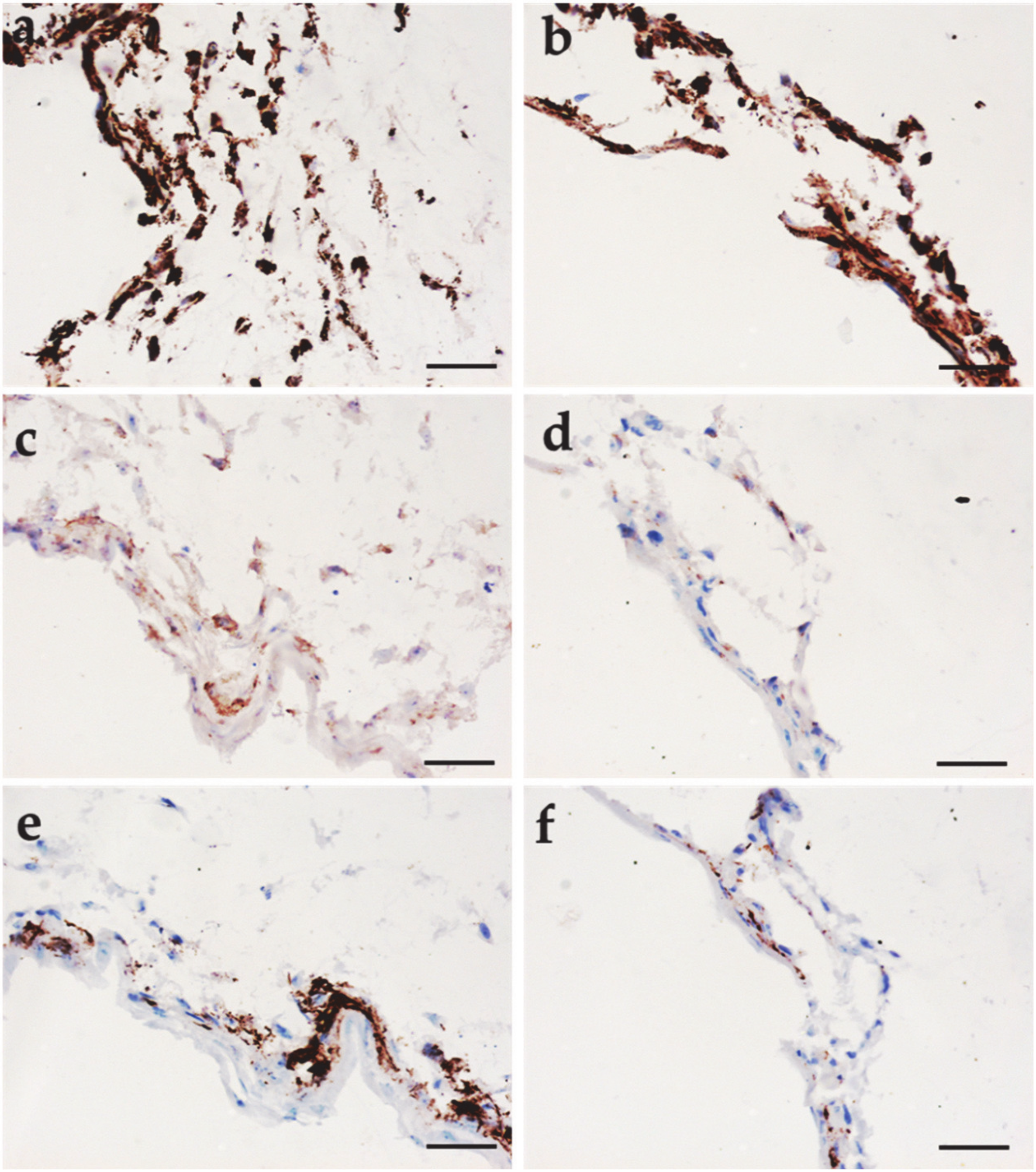 Applsci 10 03043 g006