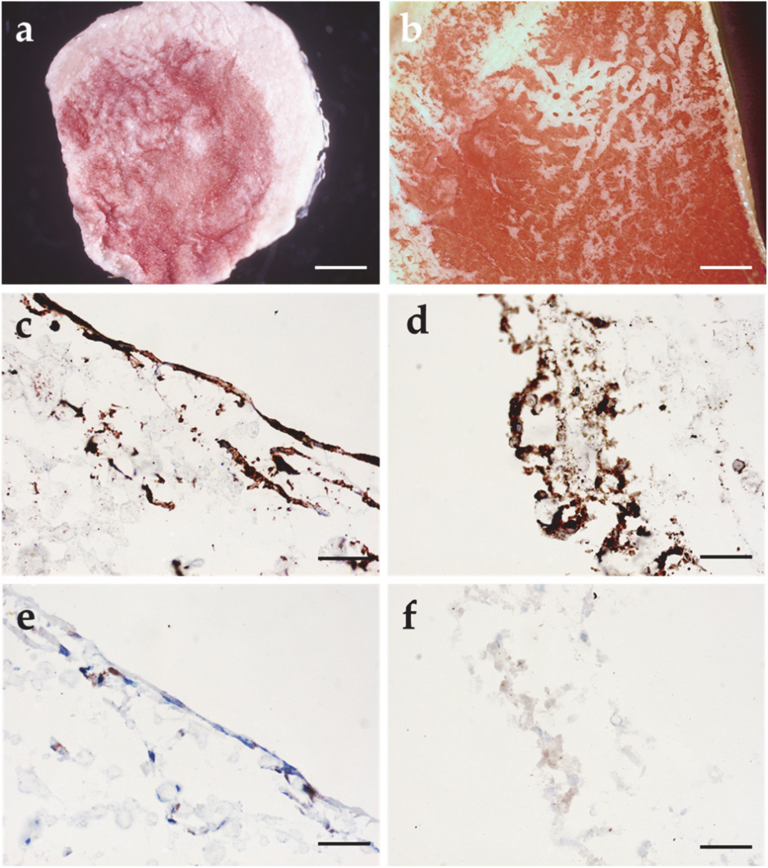 Applsci 10 03043 g008