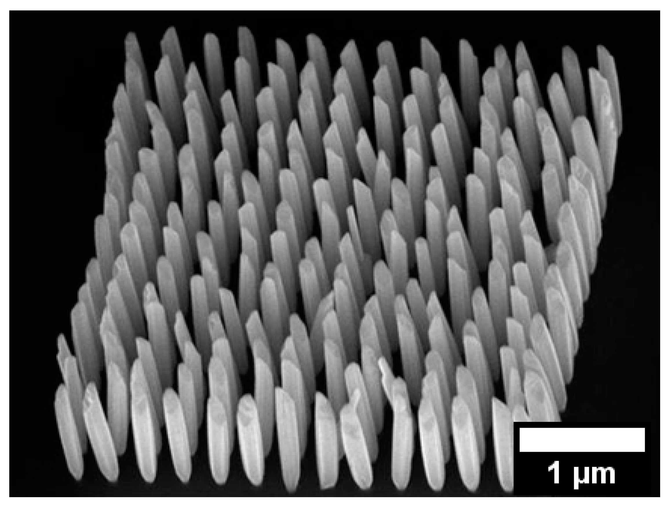 Applsci 10 03050 g013 Applsci 10 03050 g013