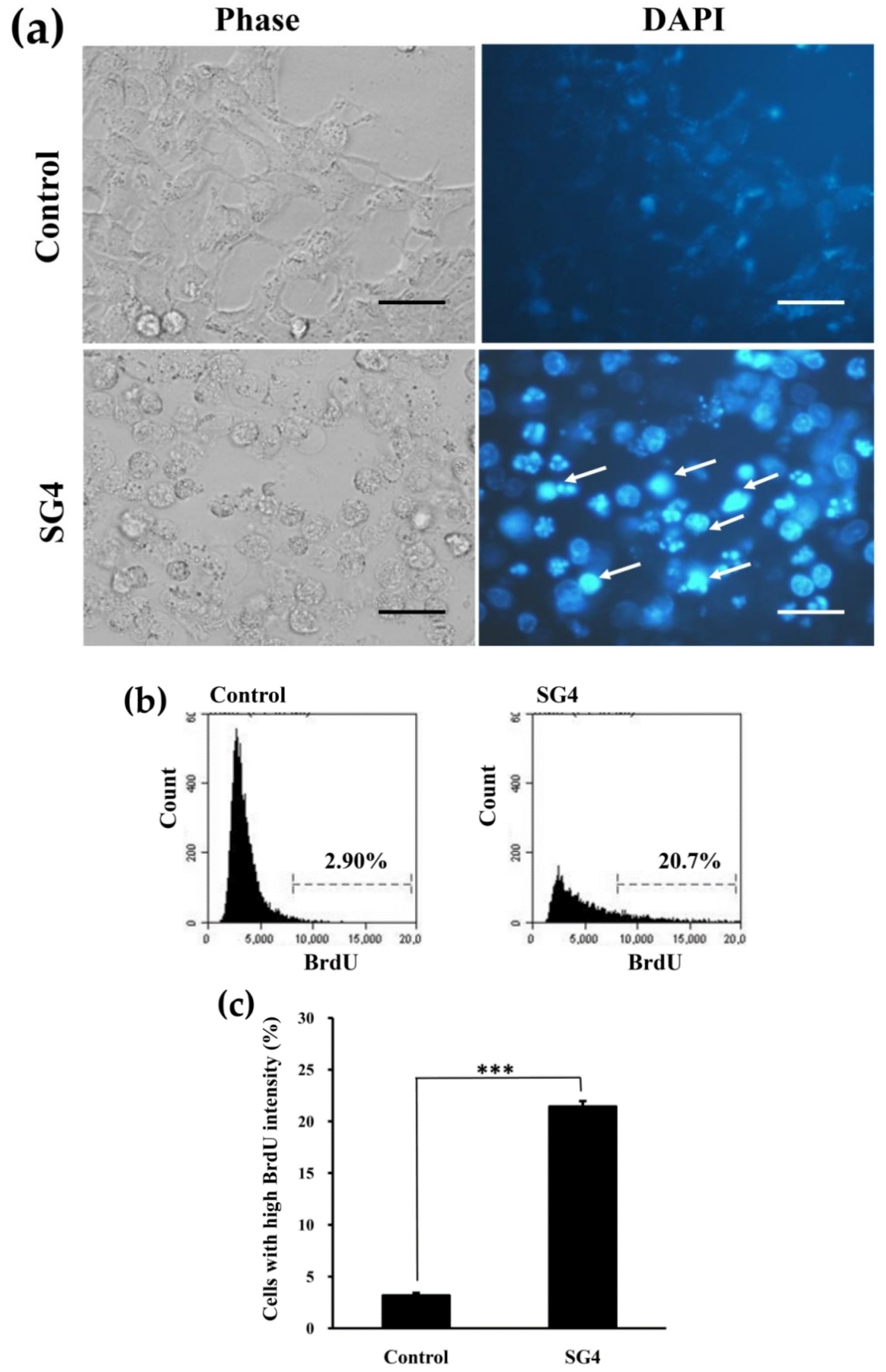 Applsci 10 03058 g005