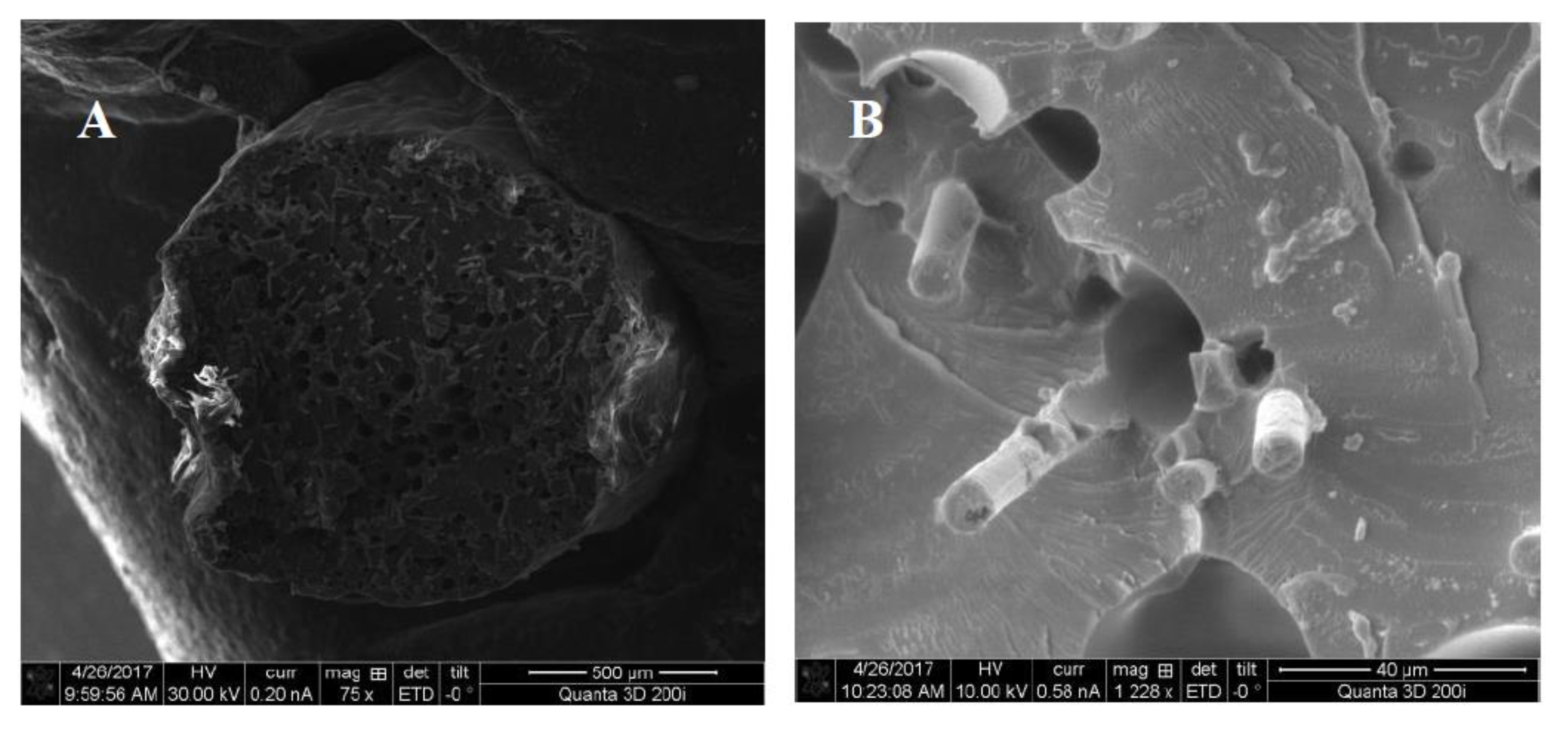 Applsci 10 03062 g002 Applsci 10 03062 g002