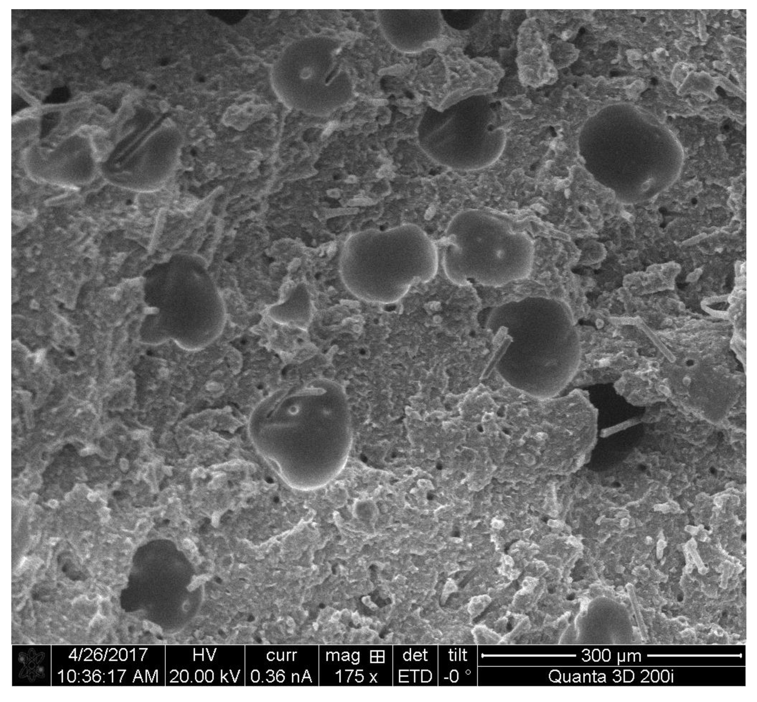 Applsci 10 03062 g003 Applsci 10 03062 g003