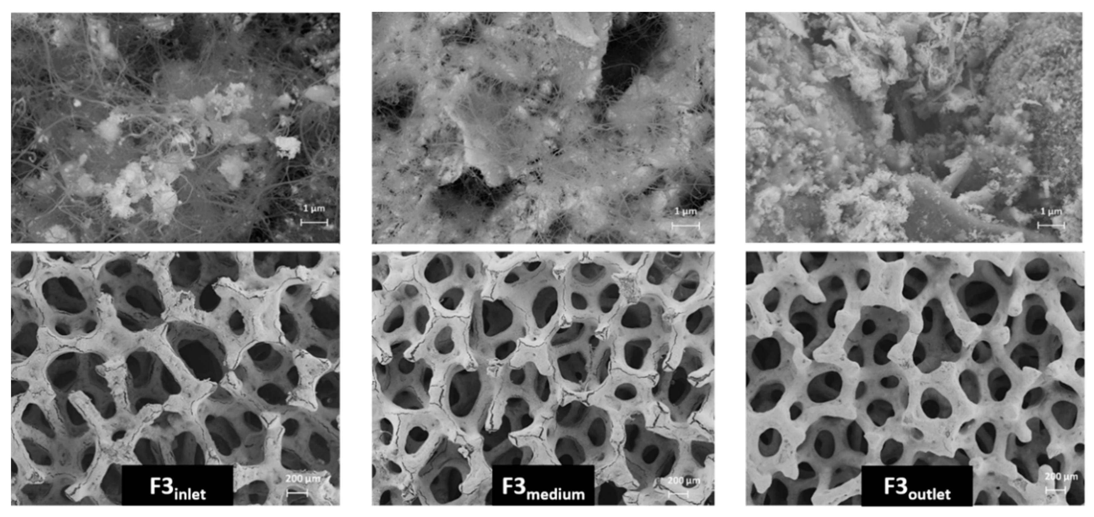 Applsci 10 03083 g009 Applsci 10 03083 g009