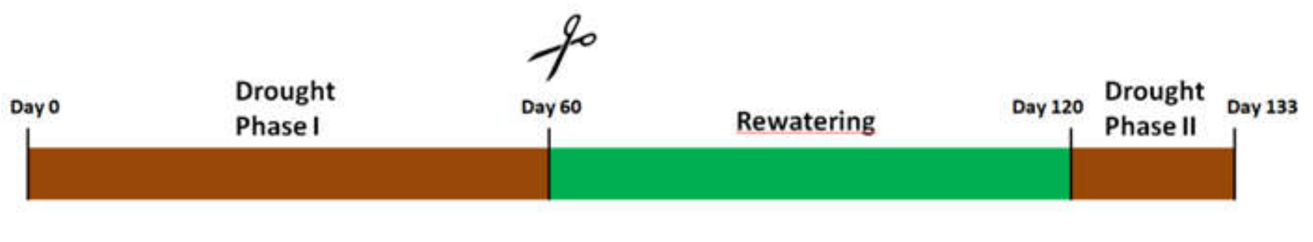 Applsci 10 03110 g001 Applsci 10 03110 g001