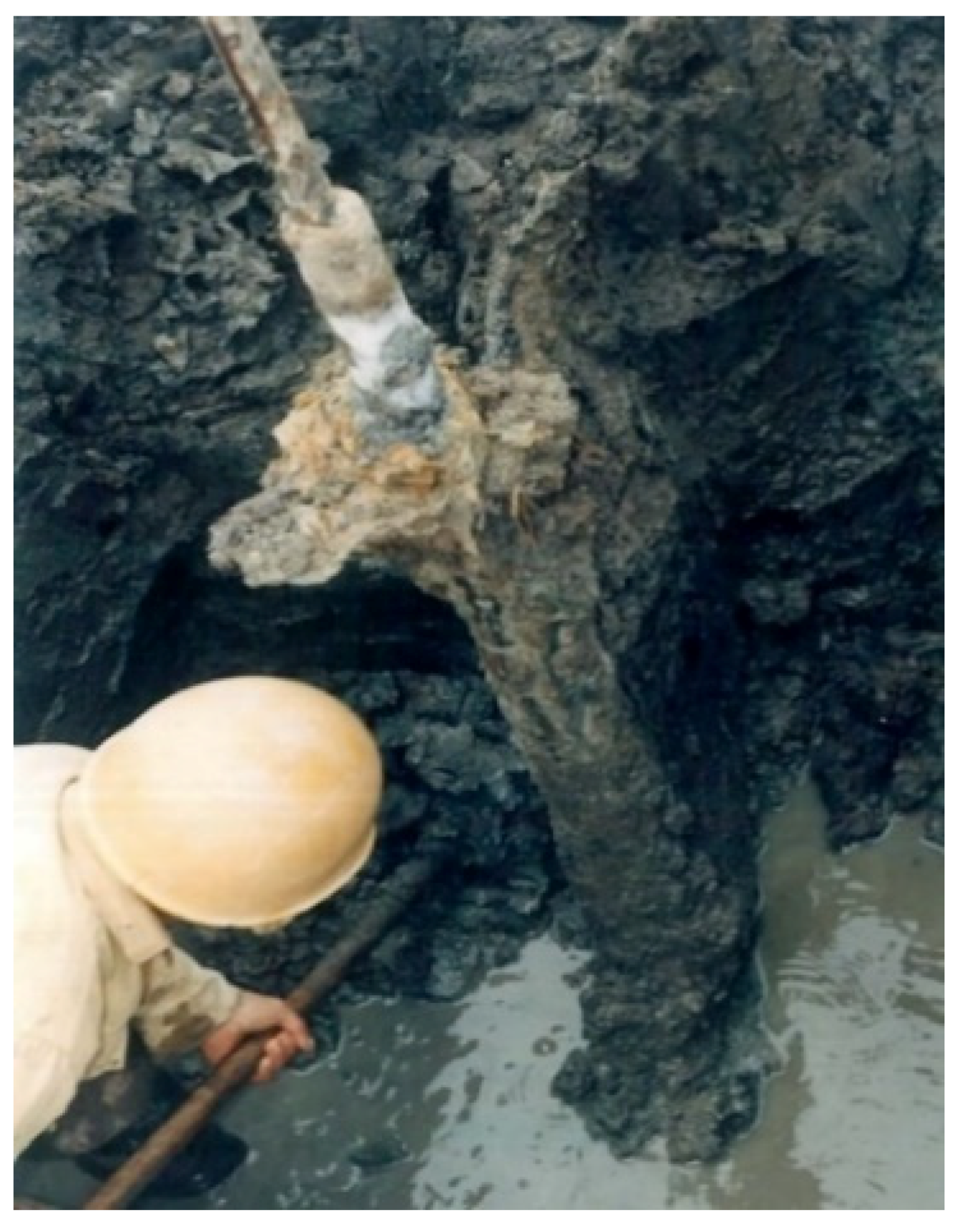 Applsci 10 03111 g002