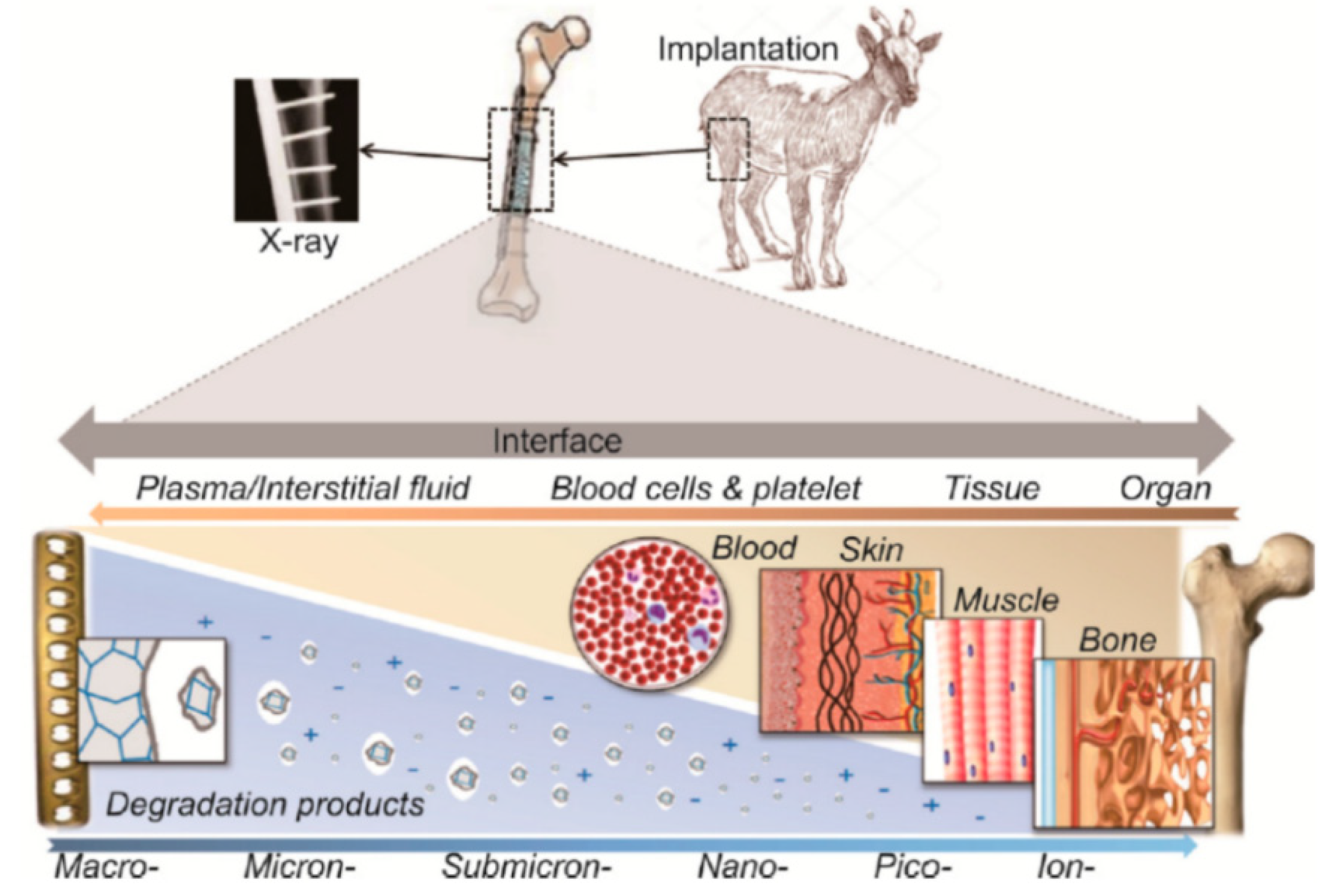 Applsci 10 03141 g003 Applsci 10 03141 g003