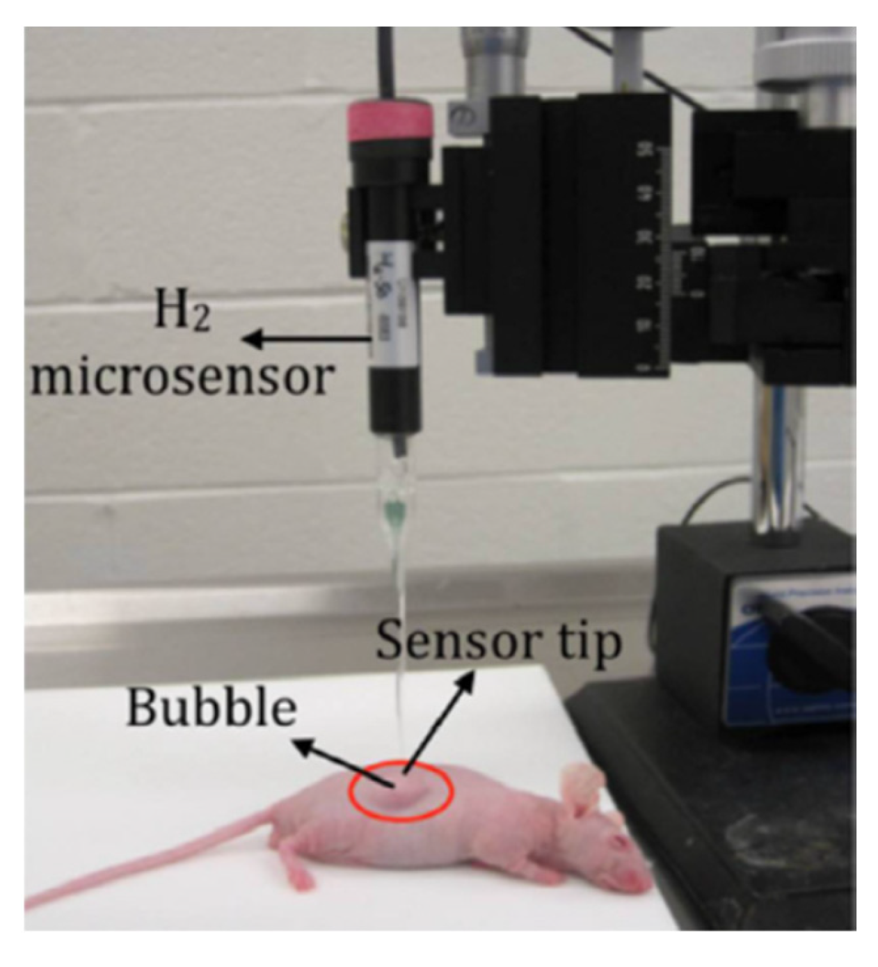 Applsci 10 03141 g008 Applsci 10 03141 g008