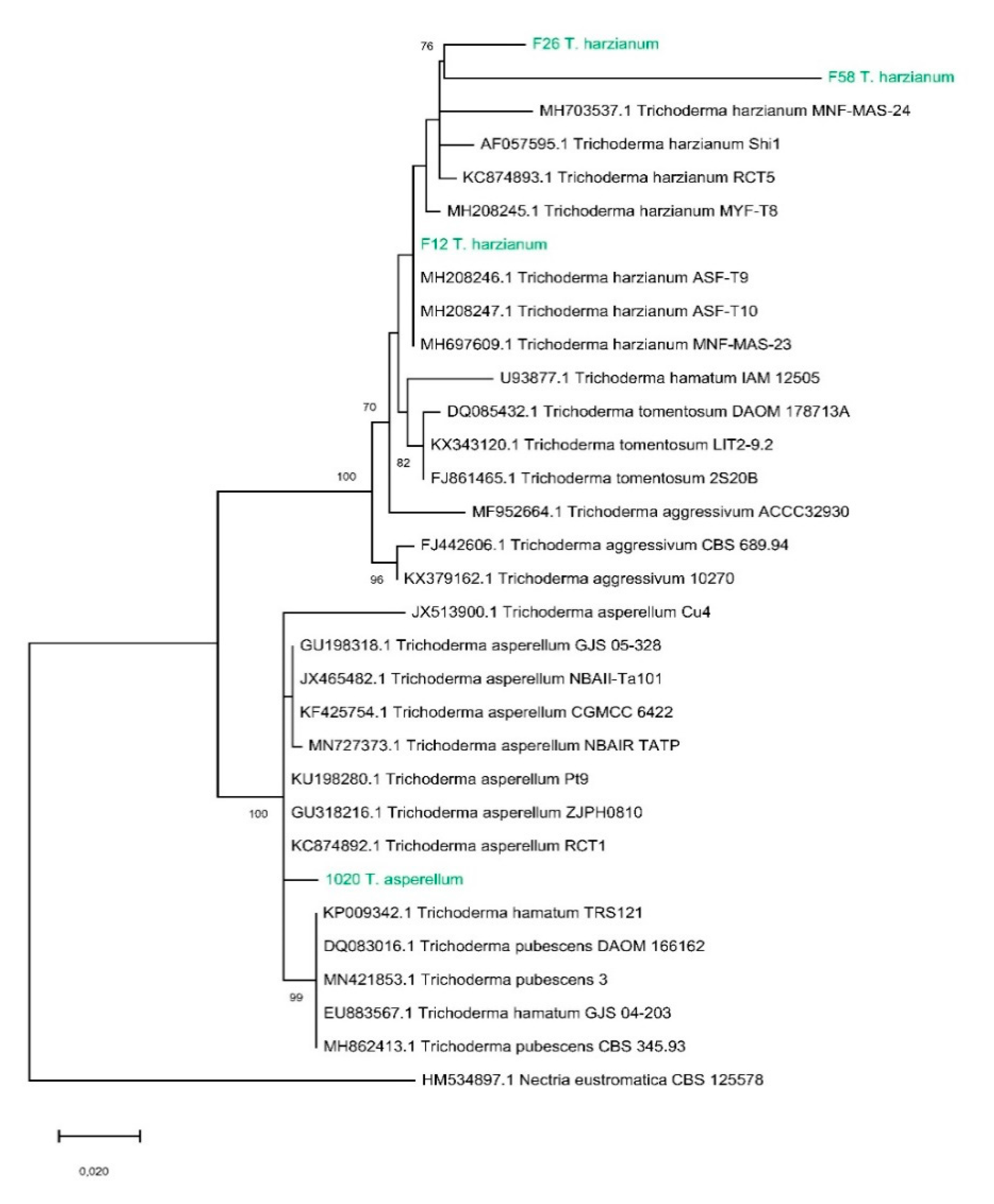 Applsci 10 03152 g001 Applsci 10 03152 g001