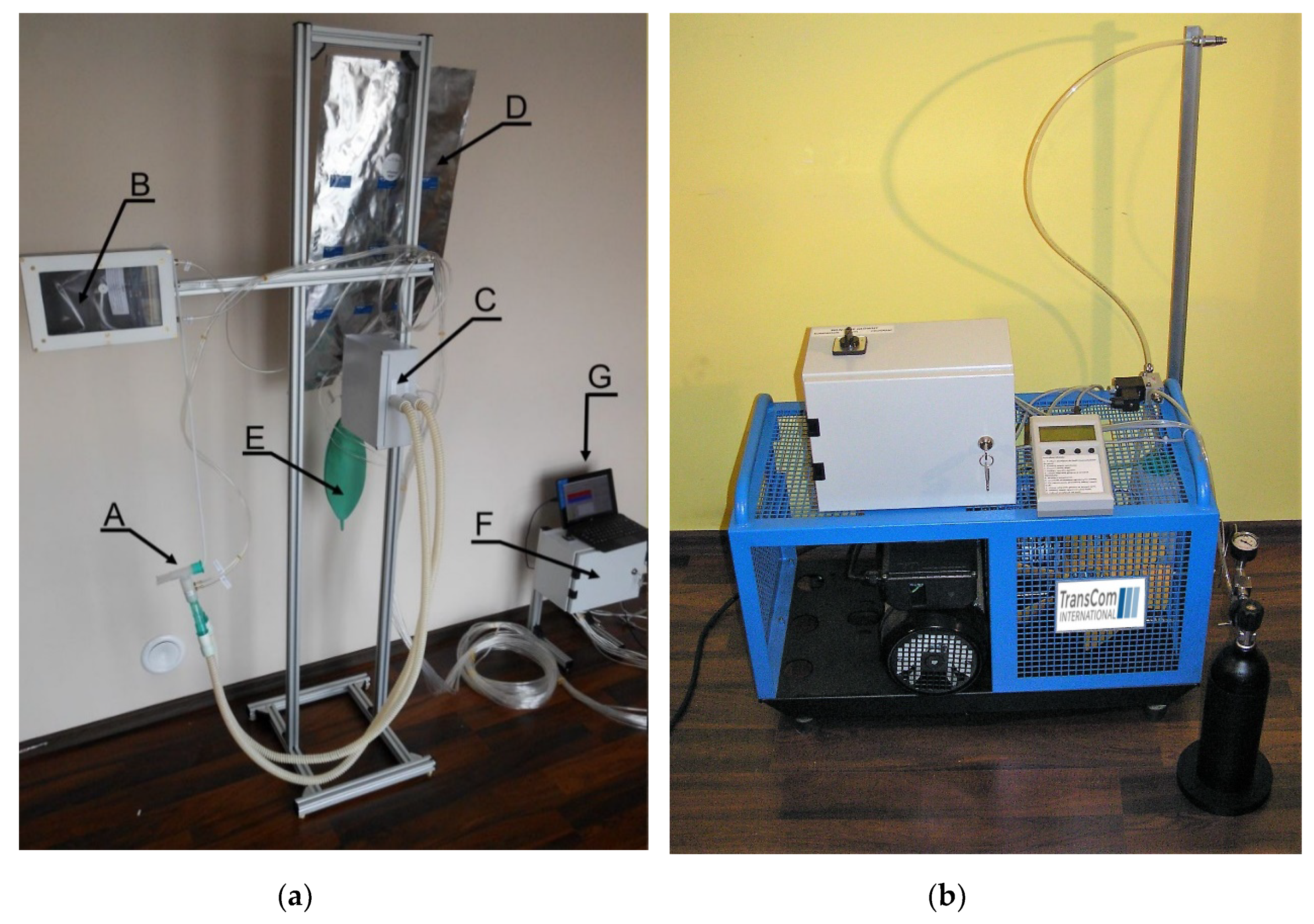 Applsci 10 03163 g003