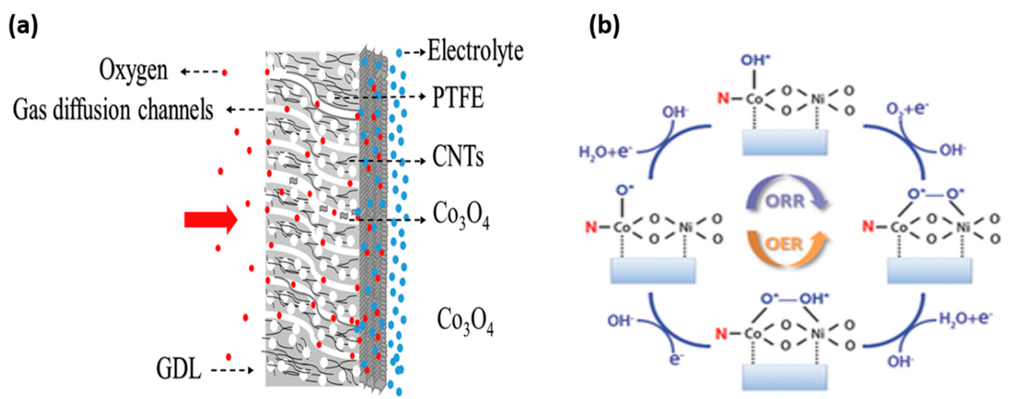 Applsci 10 03165 g004 Applsci 10 03165 g004