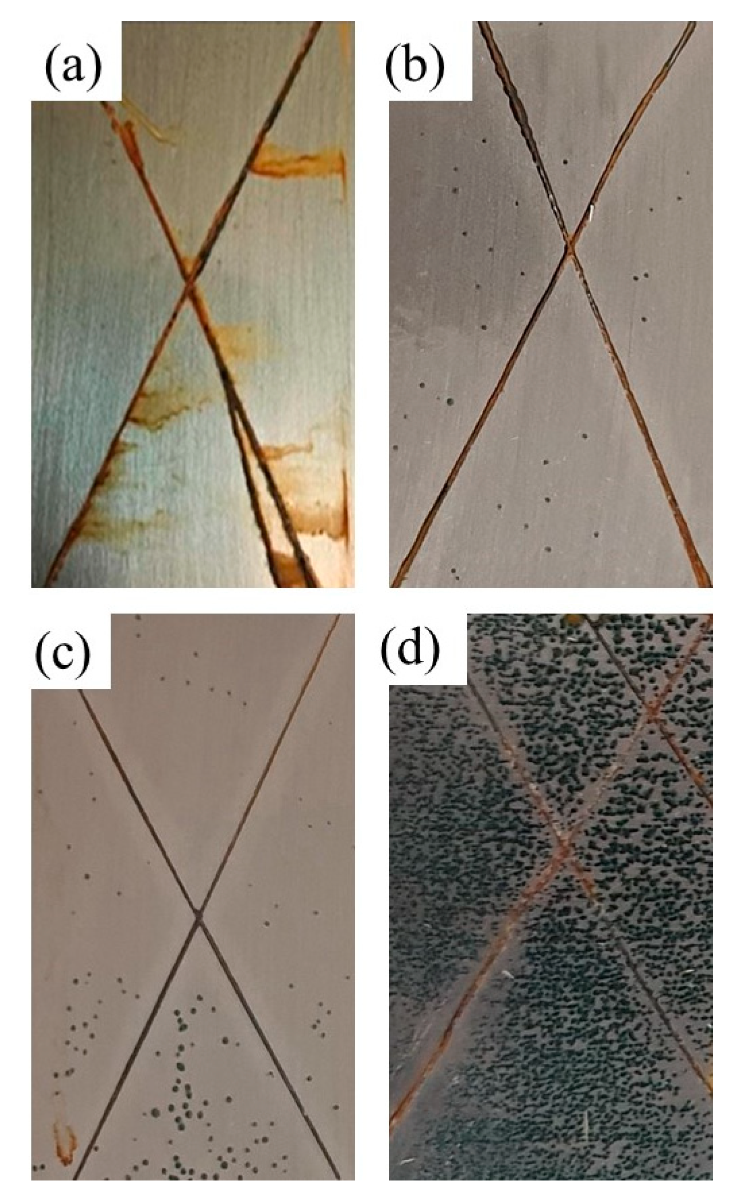 Applsci 10 03171 g007