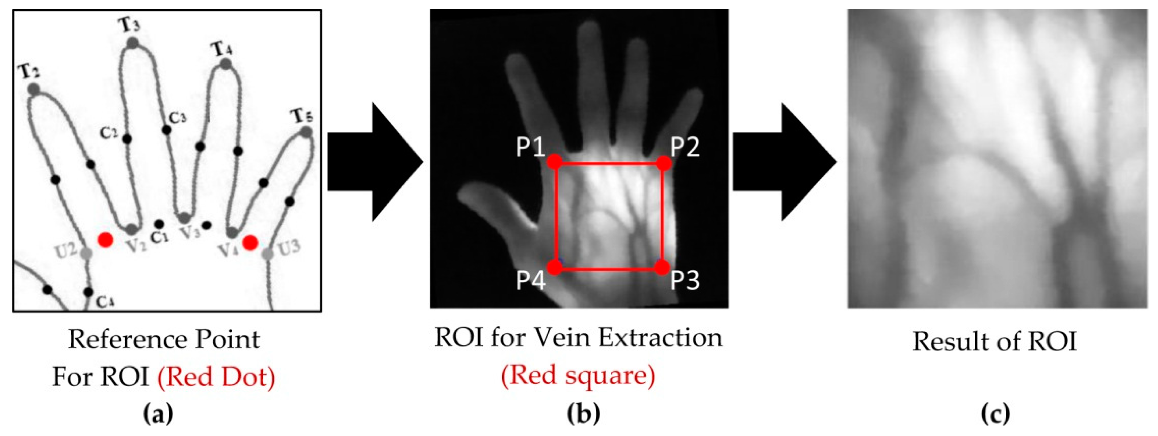 Applsci 10 03192 g008