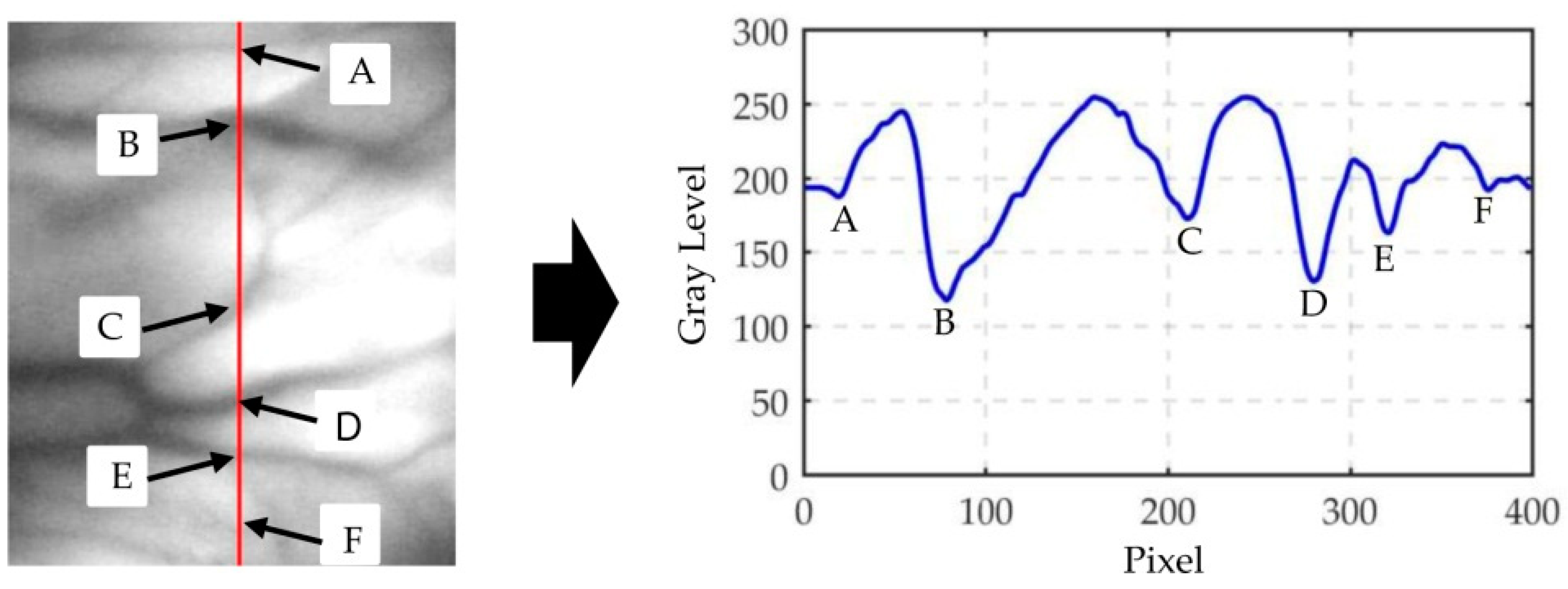 Applsci 10 03192 g010