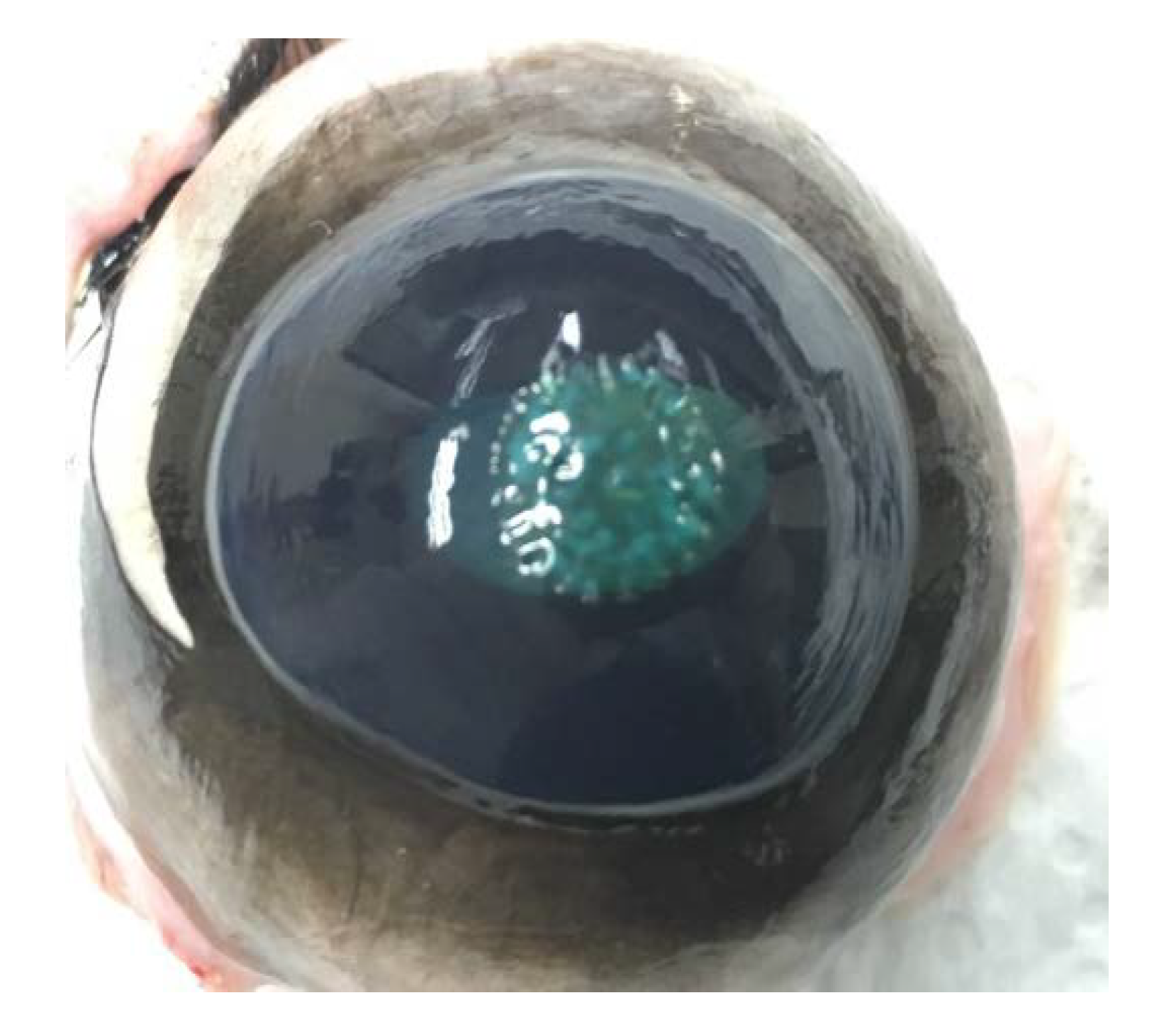 Applsci 10 03193 g001