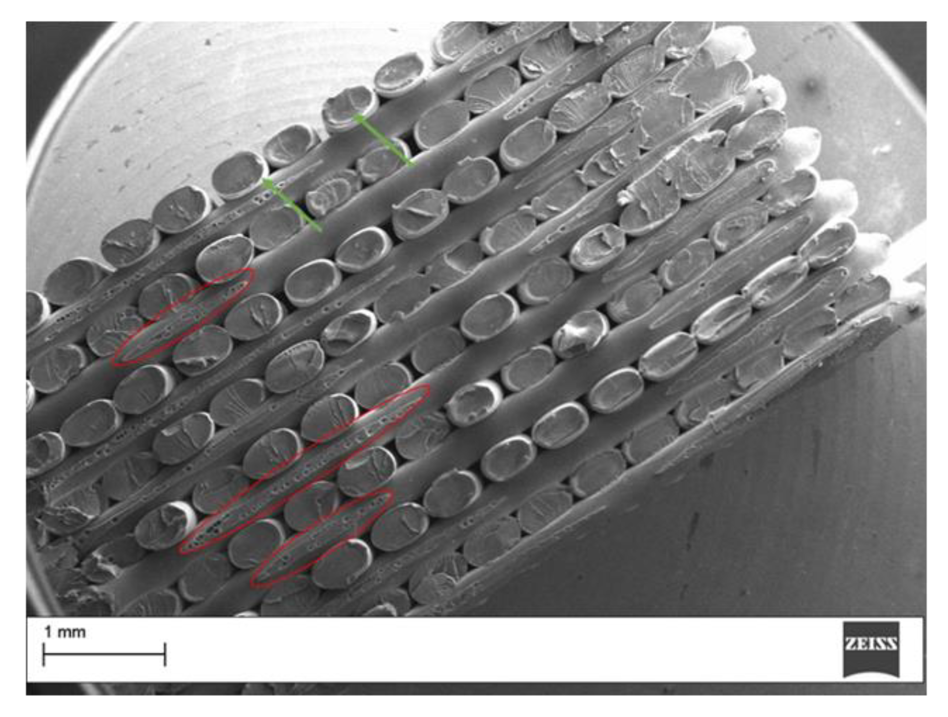 Applsci 10 03195 g009