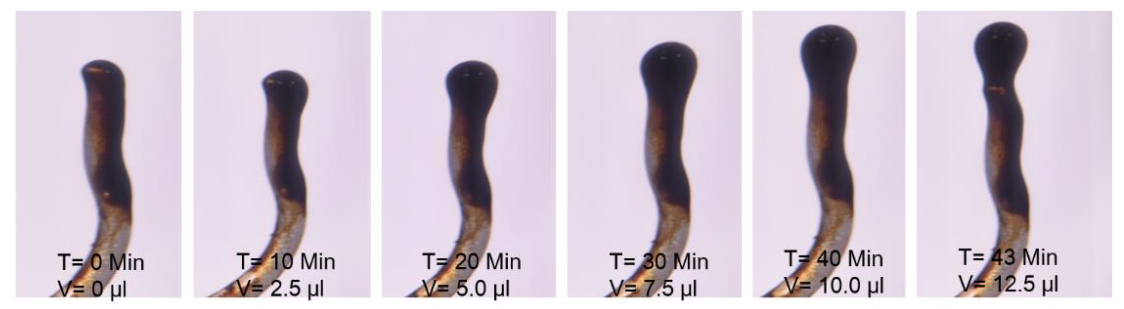 Applsci 10 03239 g005