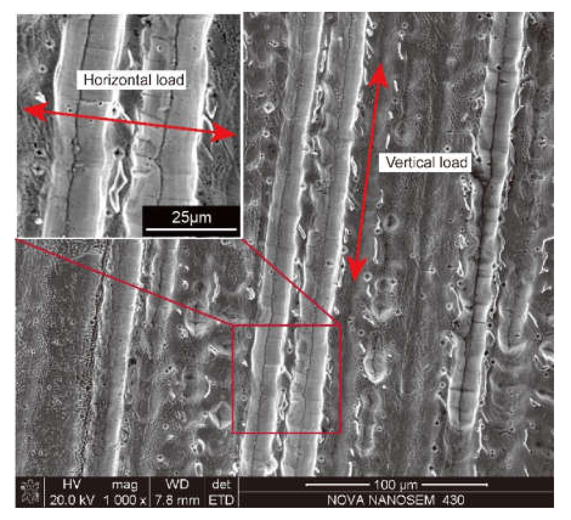 Applsci 10 03284 g014 Applsci 10 03284 g014