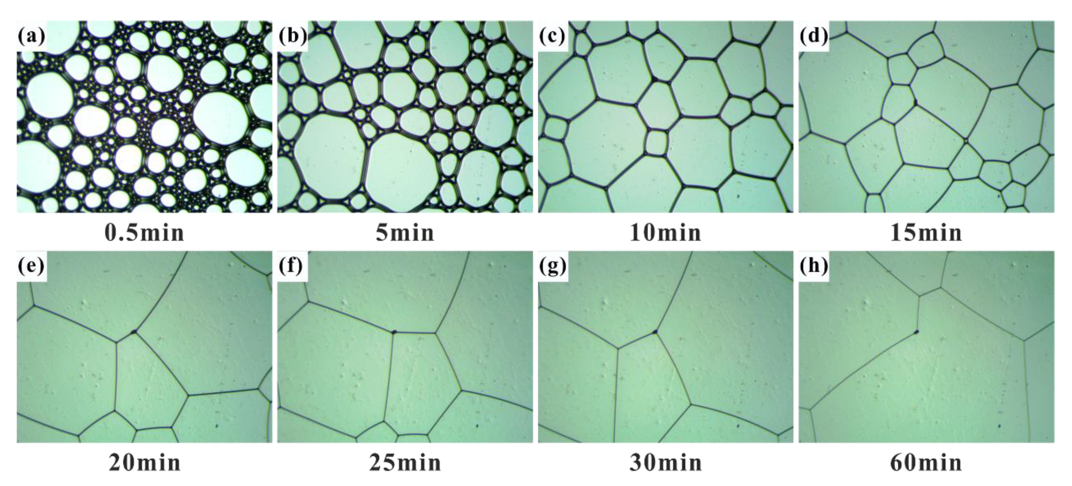 Applsci 10 03300 g008 Applsci 10 03300 g008