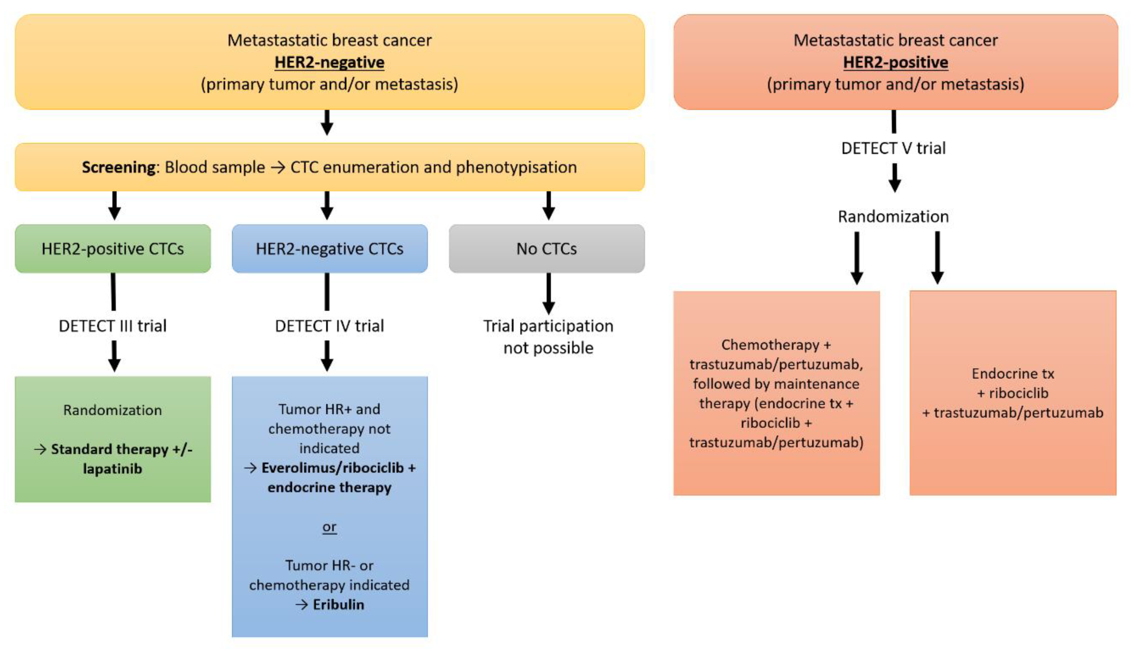 Revolutionary Strategies for HR+ Metastatic Breast Cancer Treatment Medscape
