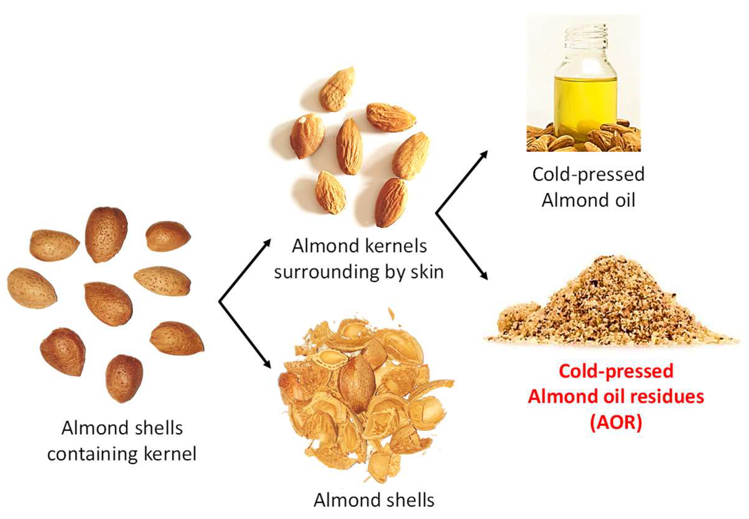 Applsci 10 03313 g001 Applsci 10 03313 g001