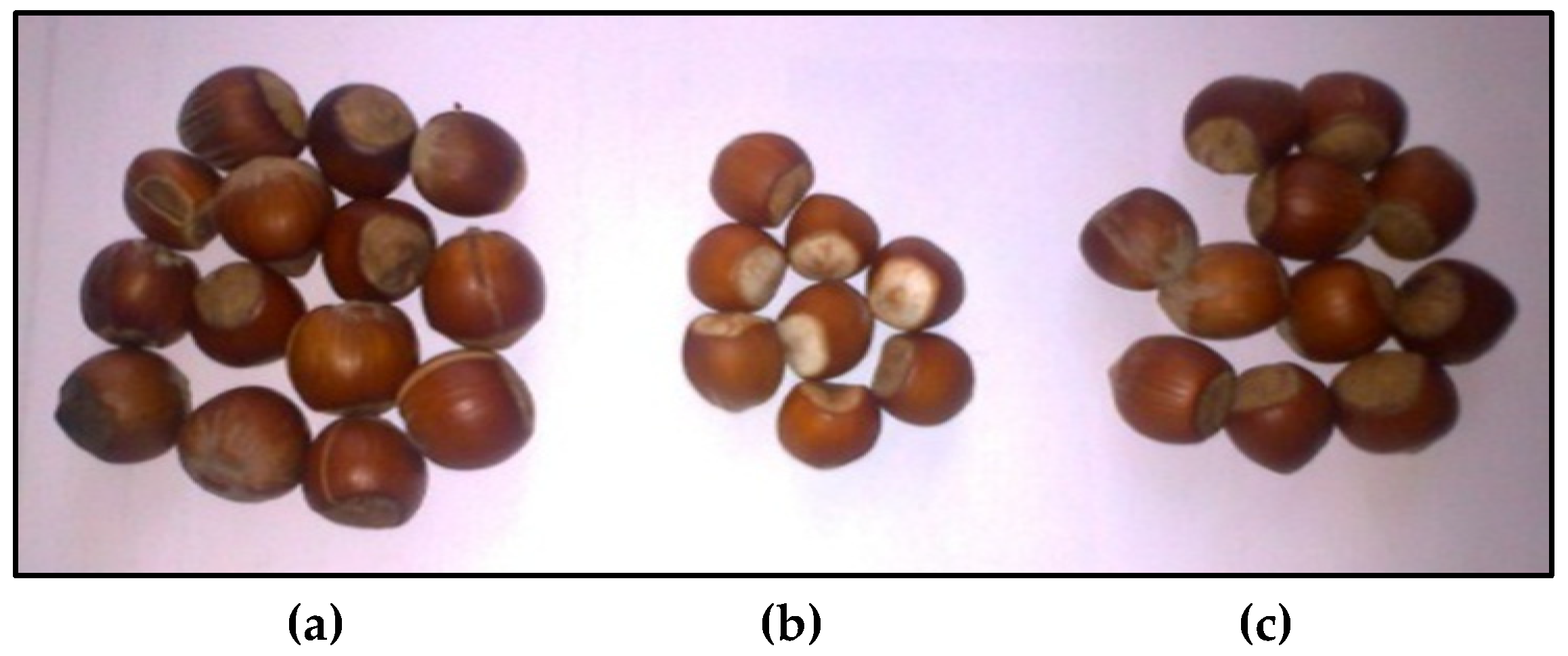 Applsci 10 03315 g003