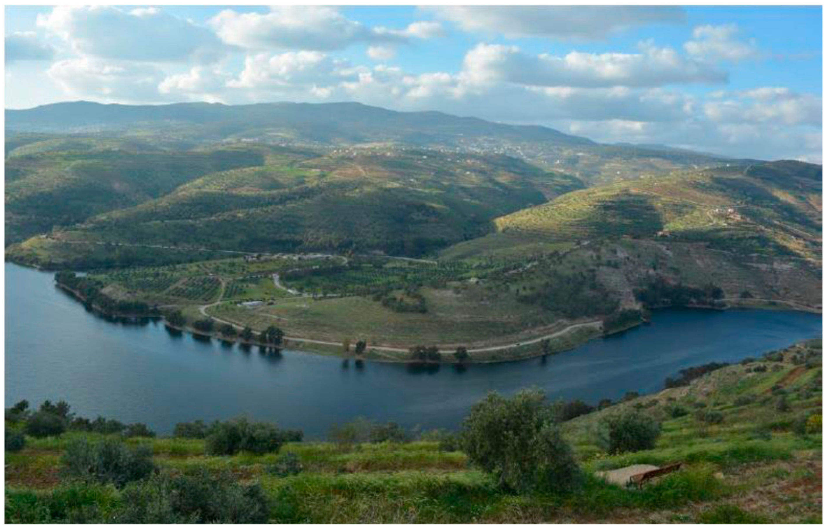 Applsci 10 03332 g001