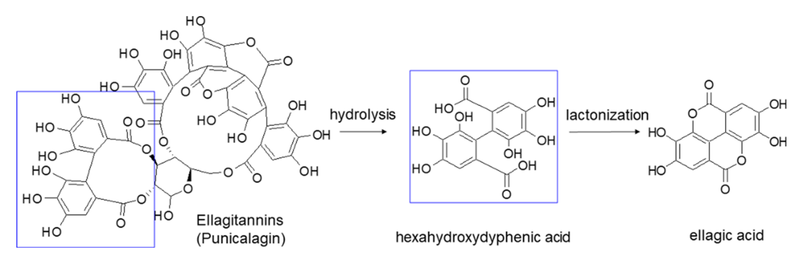 Applsci 10 03353 g001
