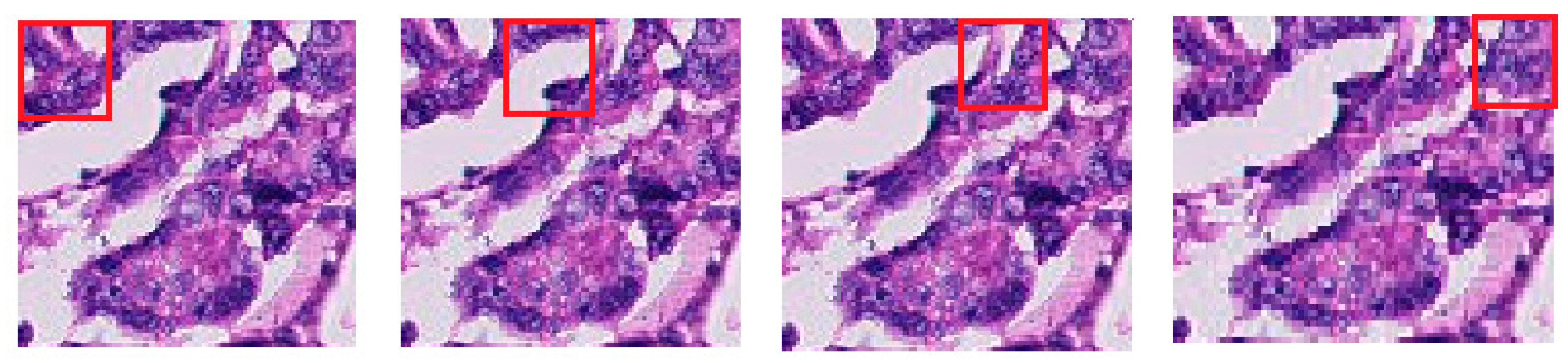 Applsci 10 03359 g003