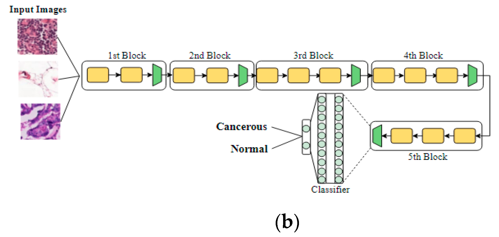 Applsci 10 03359 g005b