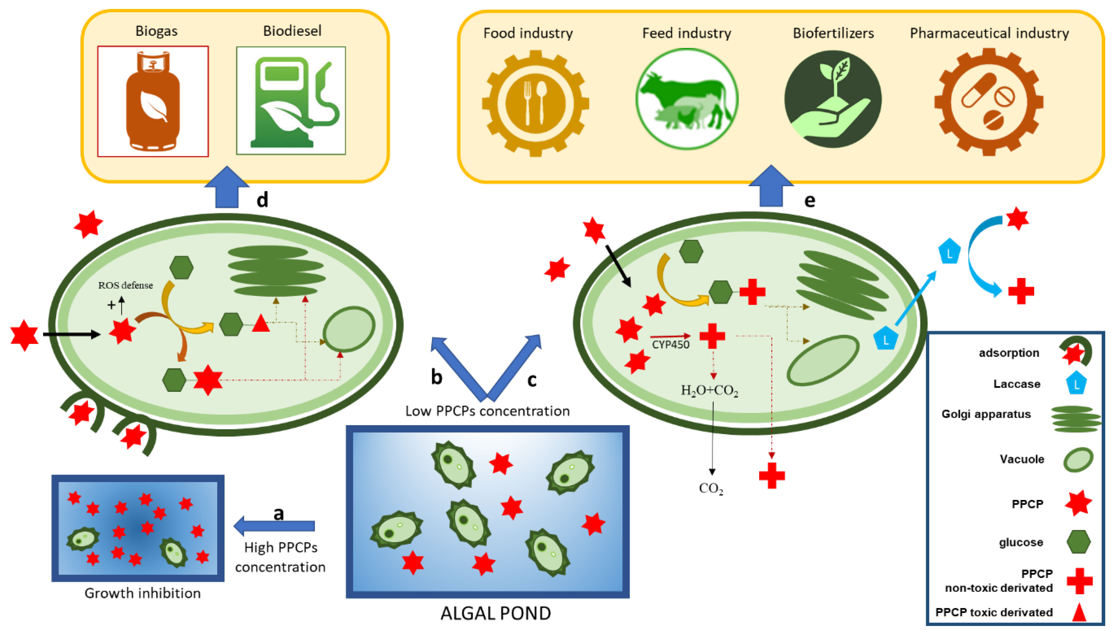 Applsci 10 03391 g004