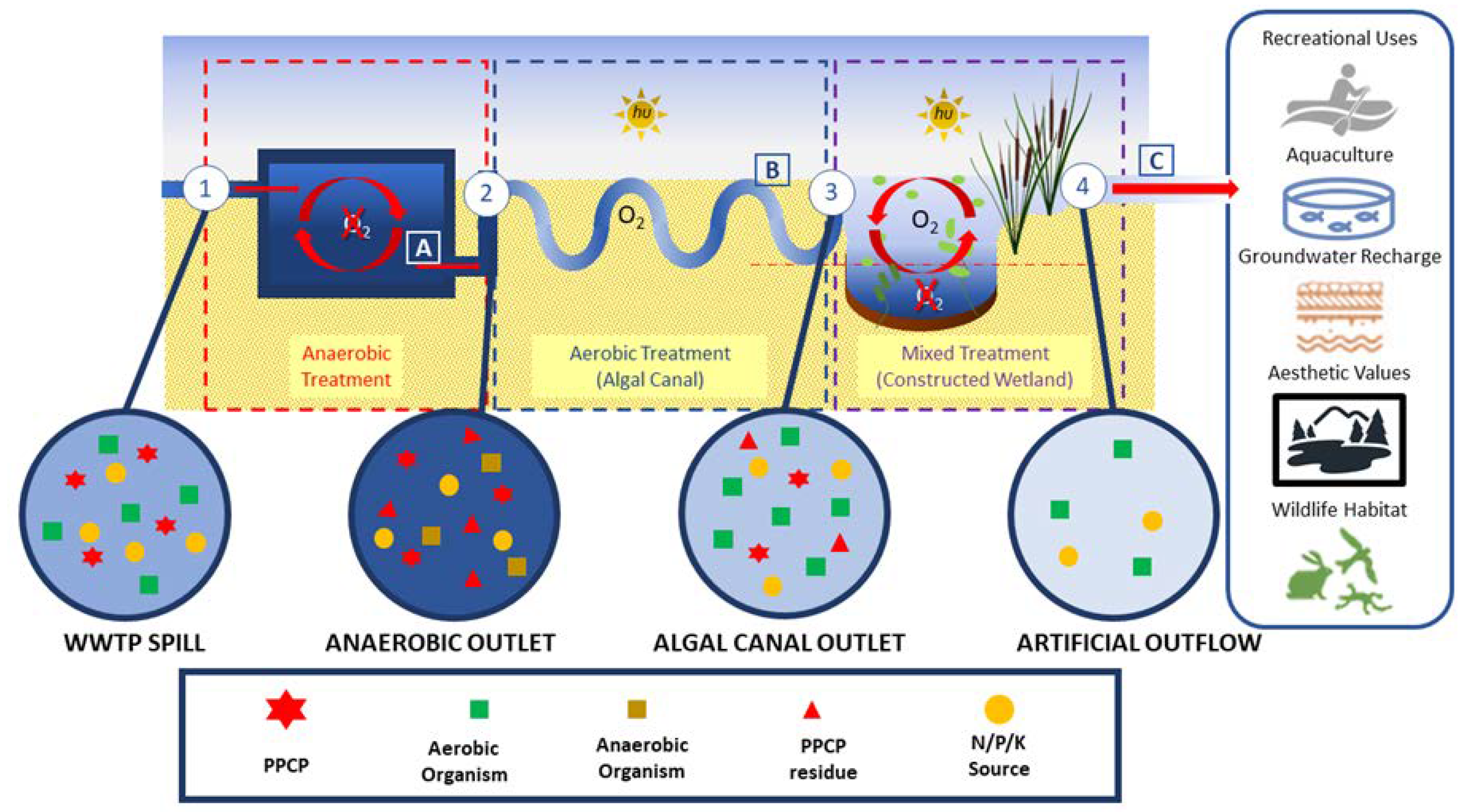 Applsci 10 03391 g006