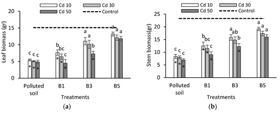 The Potential Effectiveness of Biochar Application to Reduce Soil Cd ...