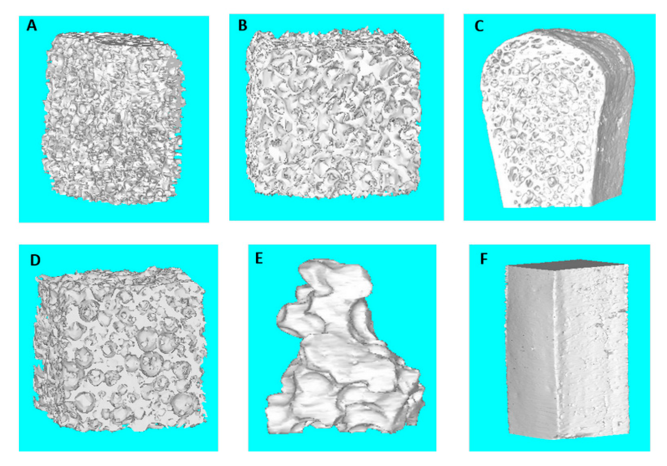 Applsci 10 03451 g003