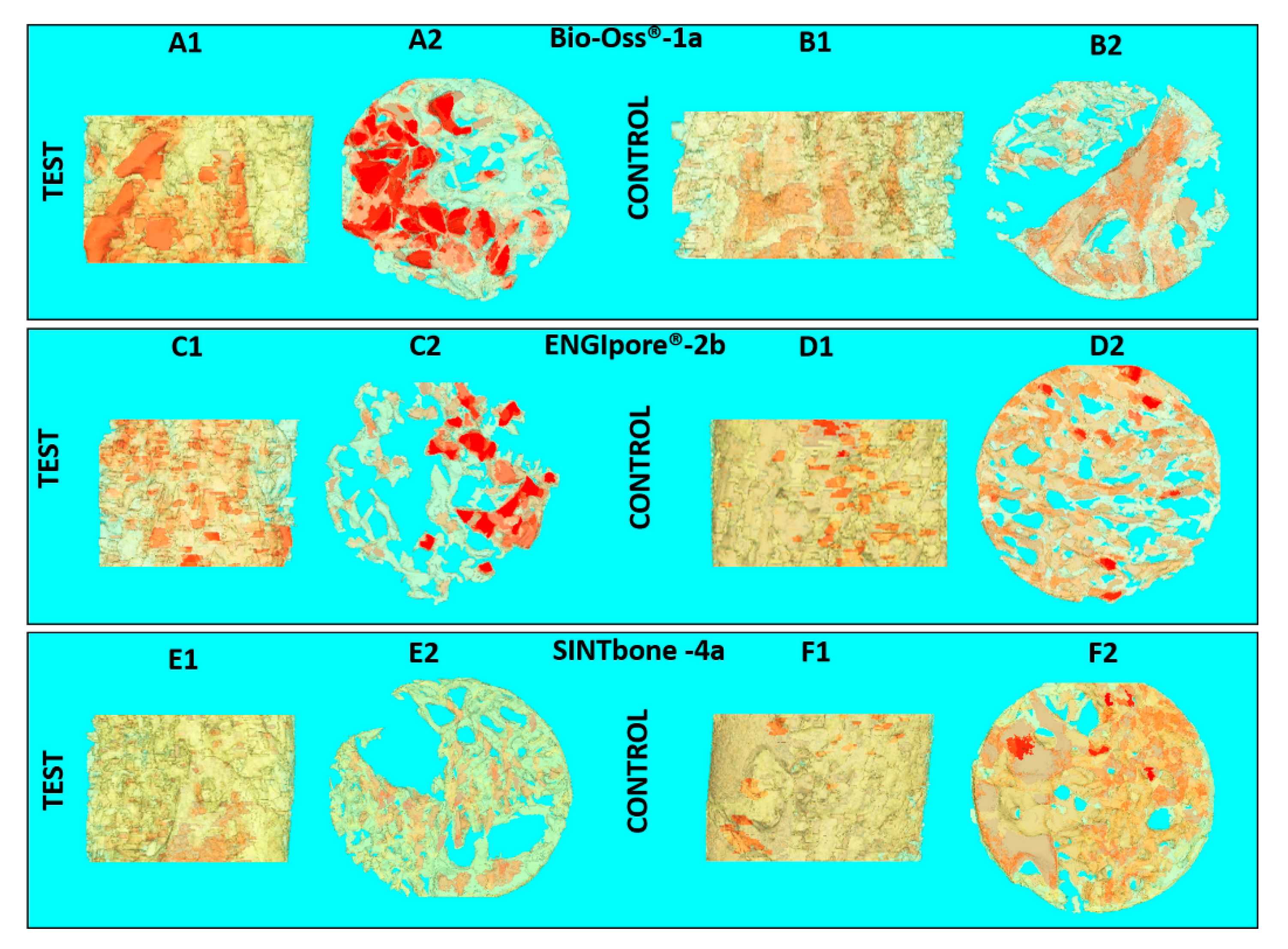 Applsci 10 03451 g005