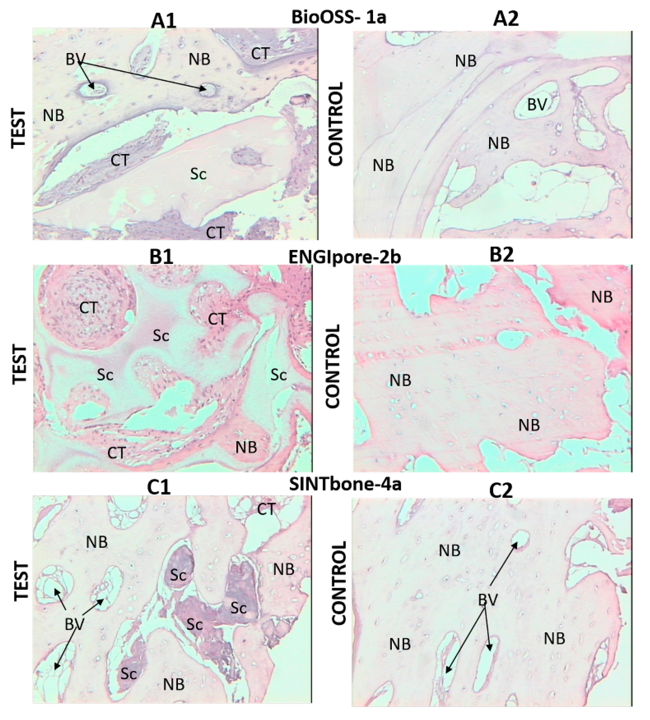 Applsci 10 03451 g006