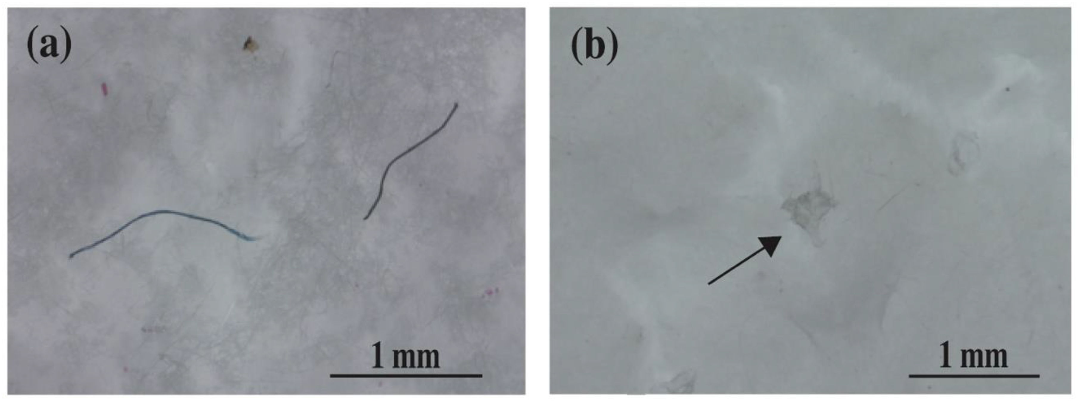 Applsci 10 03463 g003