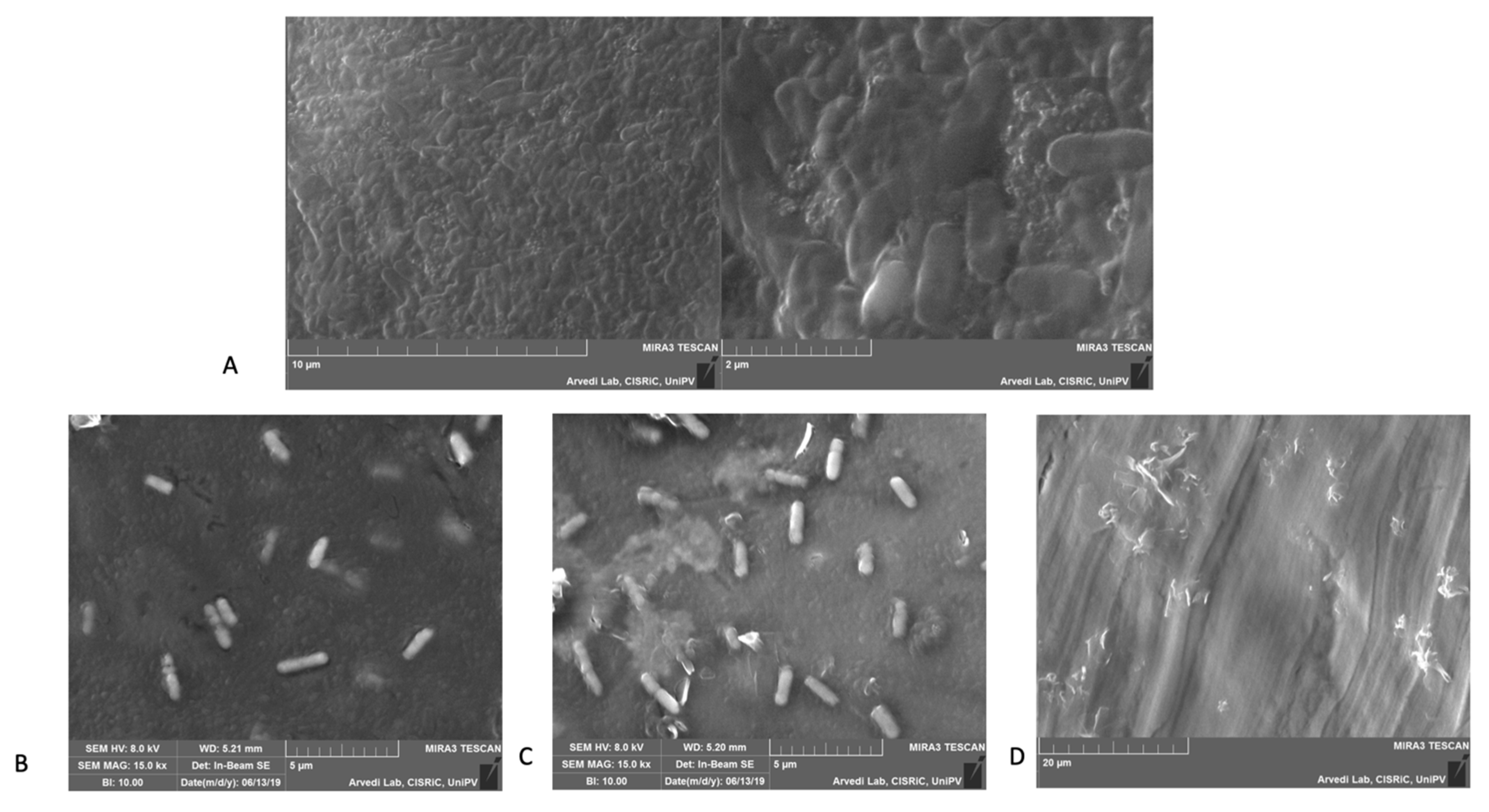 Applsci 10 03466 g008