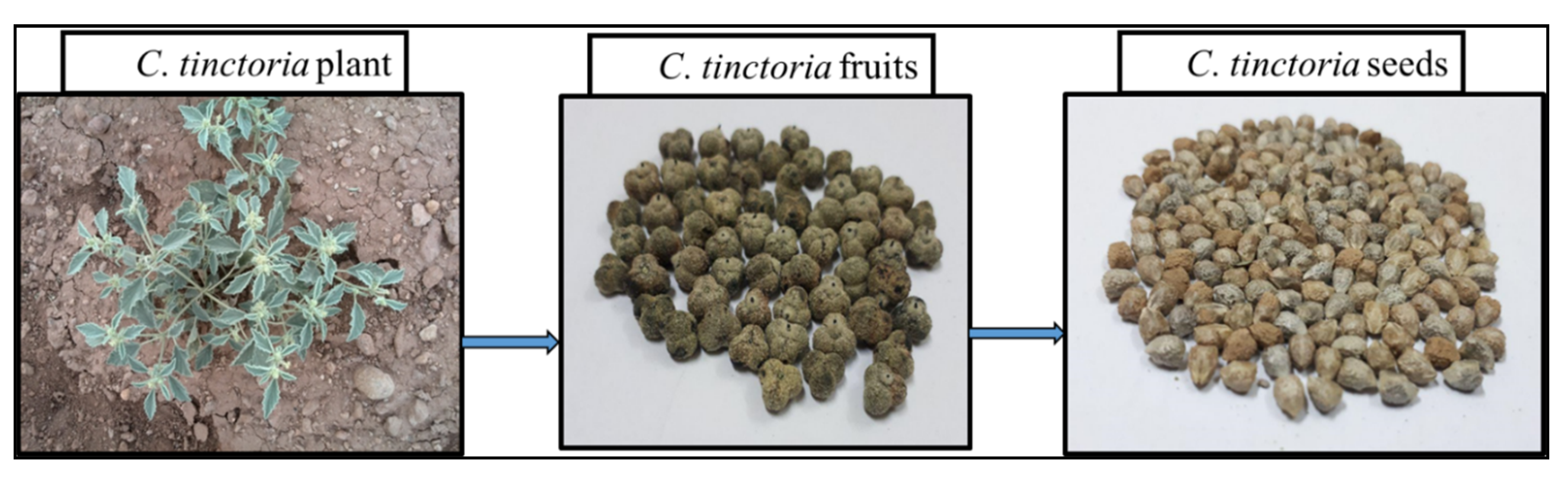 Applsci 10 03473 g002