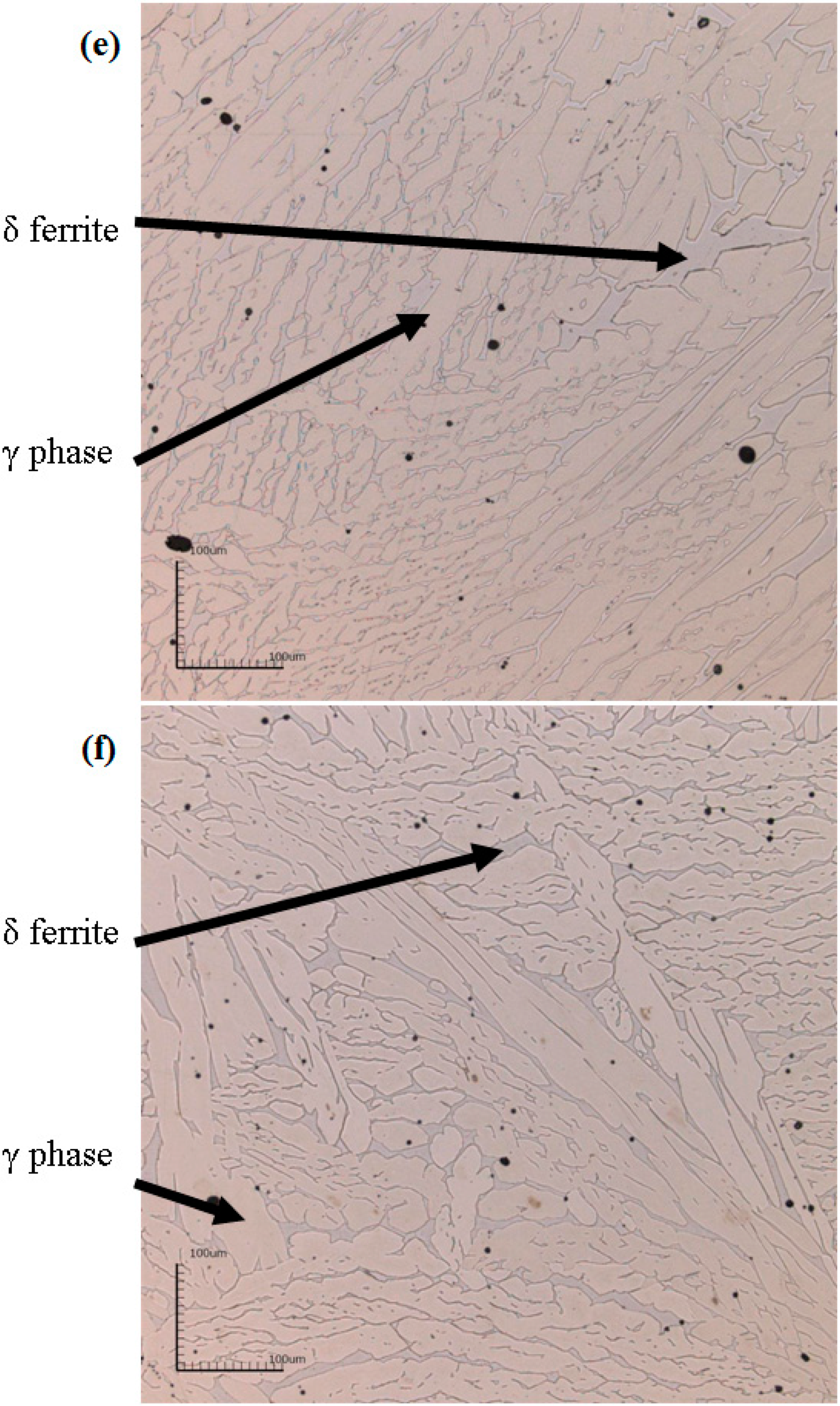 Applied Sciences Free Full Text Influence Of Microstructural Changes Effects On The Linear And Nonlinear Ultrasonic Parameters Of Cast Stainless Steels Html