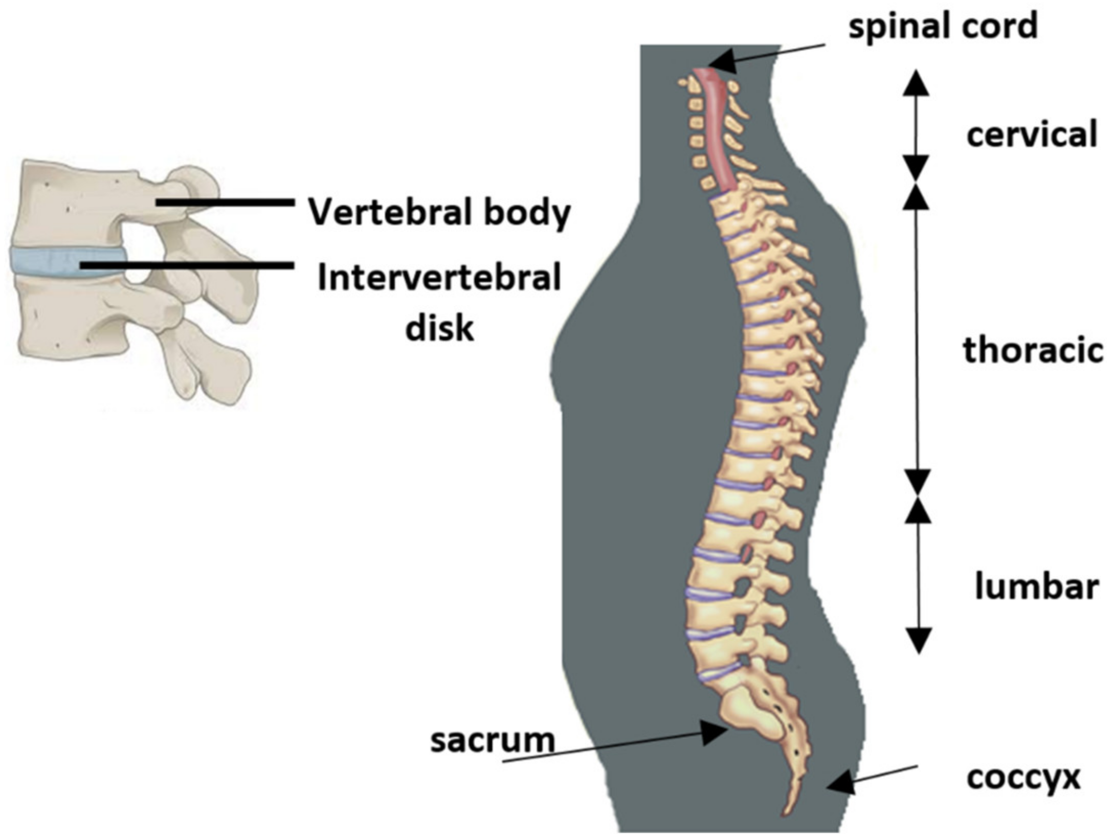 Applsci 10 03484 g001