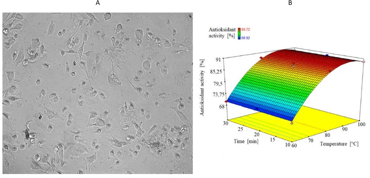 Applied Sciences Free Full Text The Effect Of Polyphenolics In Extracts From Natural Materials On Metabolic Activity Of Metastatic Melanoma Wm 266 4 Cells Html