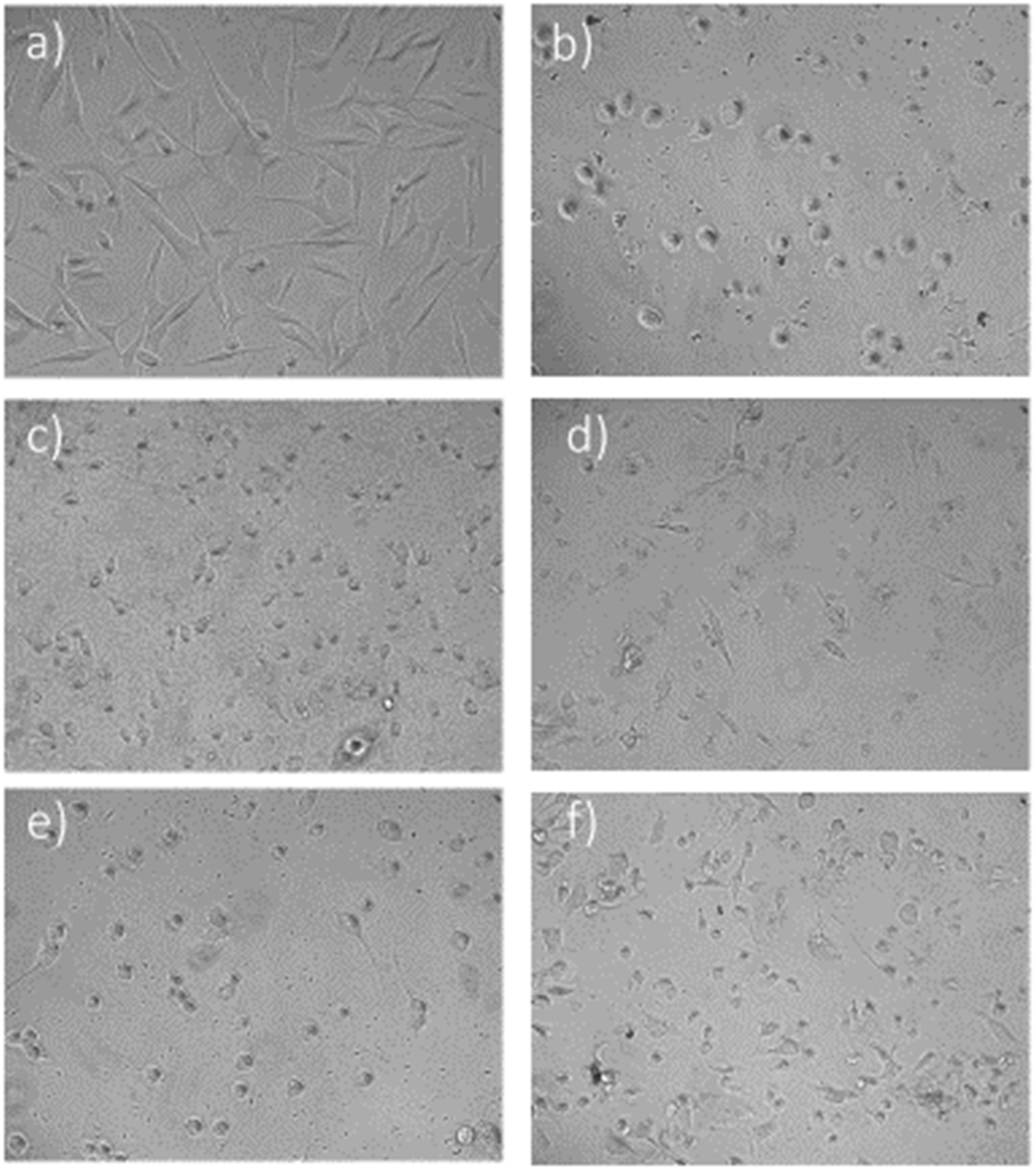 Applied Sciences Free Full Text The Effect Of Polyphenolics In Extracts From Natural Materials On Metabolic Activity Of Metastatic Melanoma Wm 266 4 Cells Html