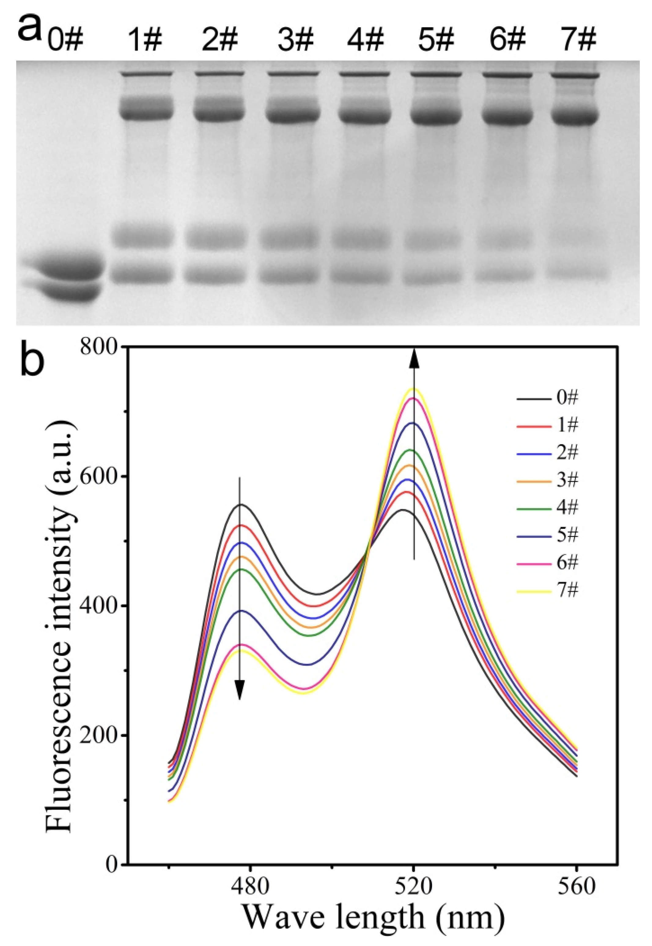 Applsci 10 03508 g002